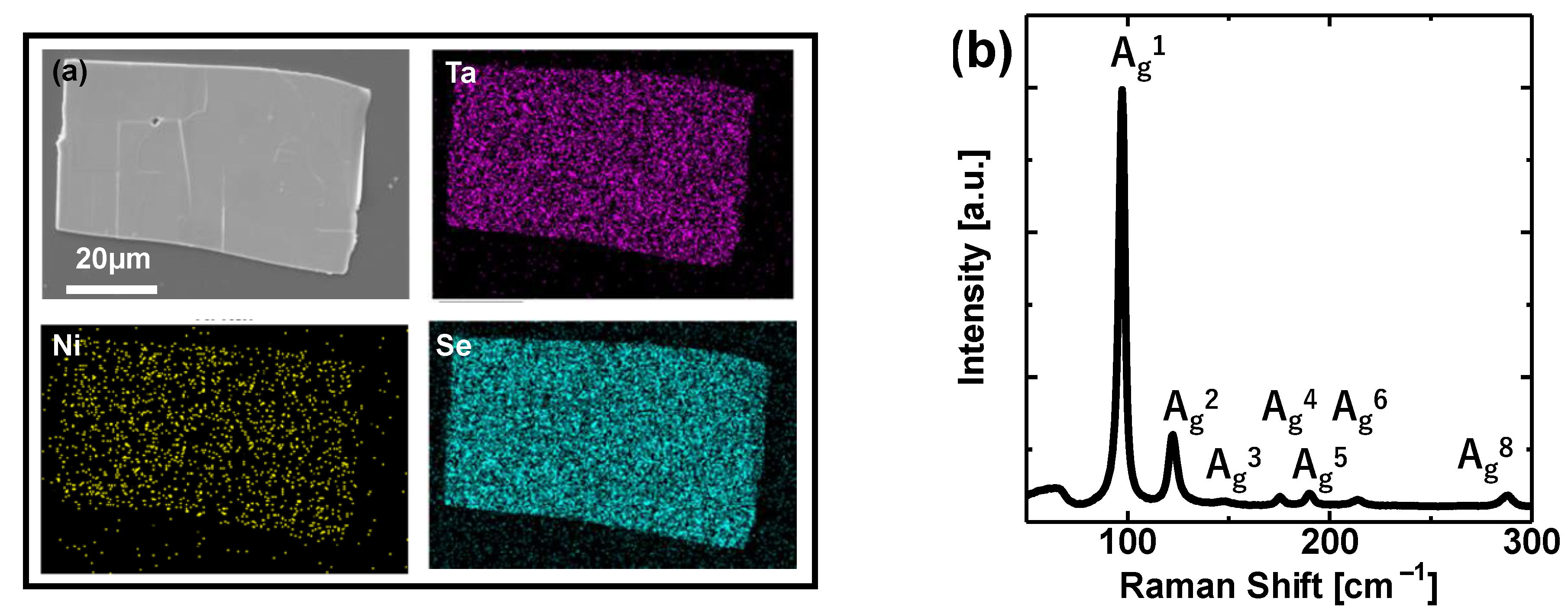 Coatings 11 01485 g002 550