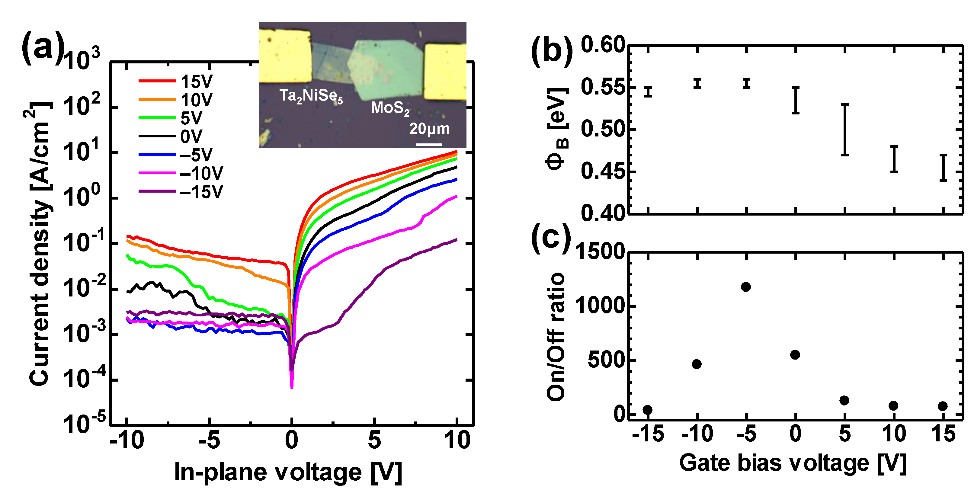 Coatings 11 01485 g004 550
