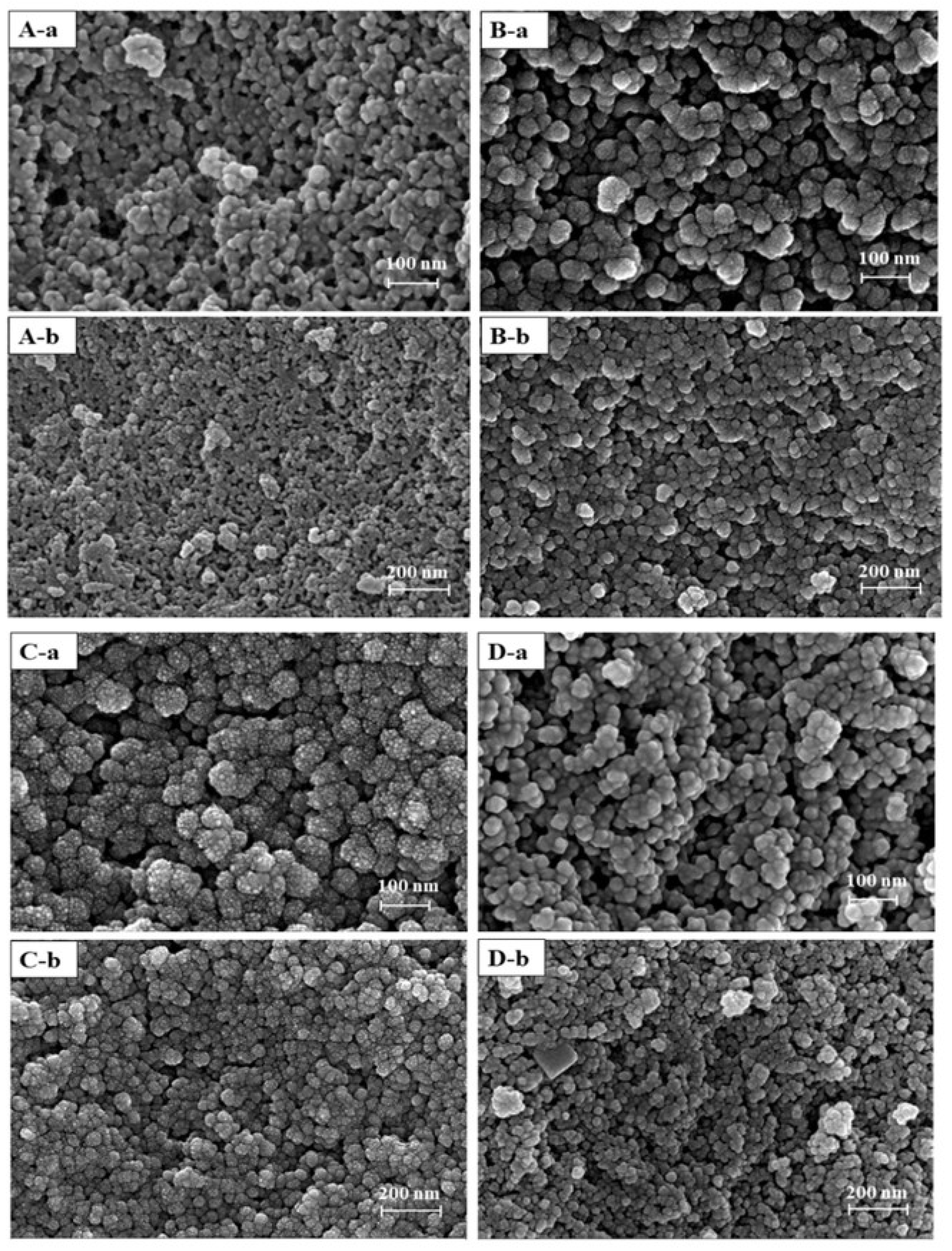 Coatings 11 01489 g002