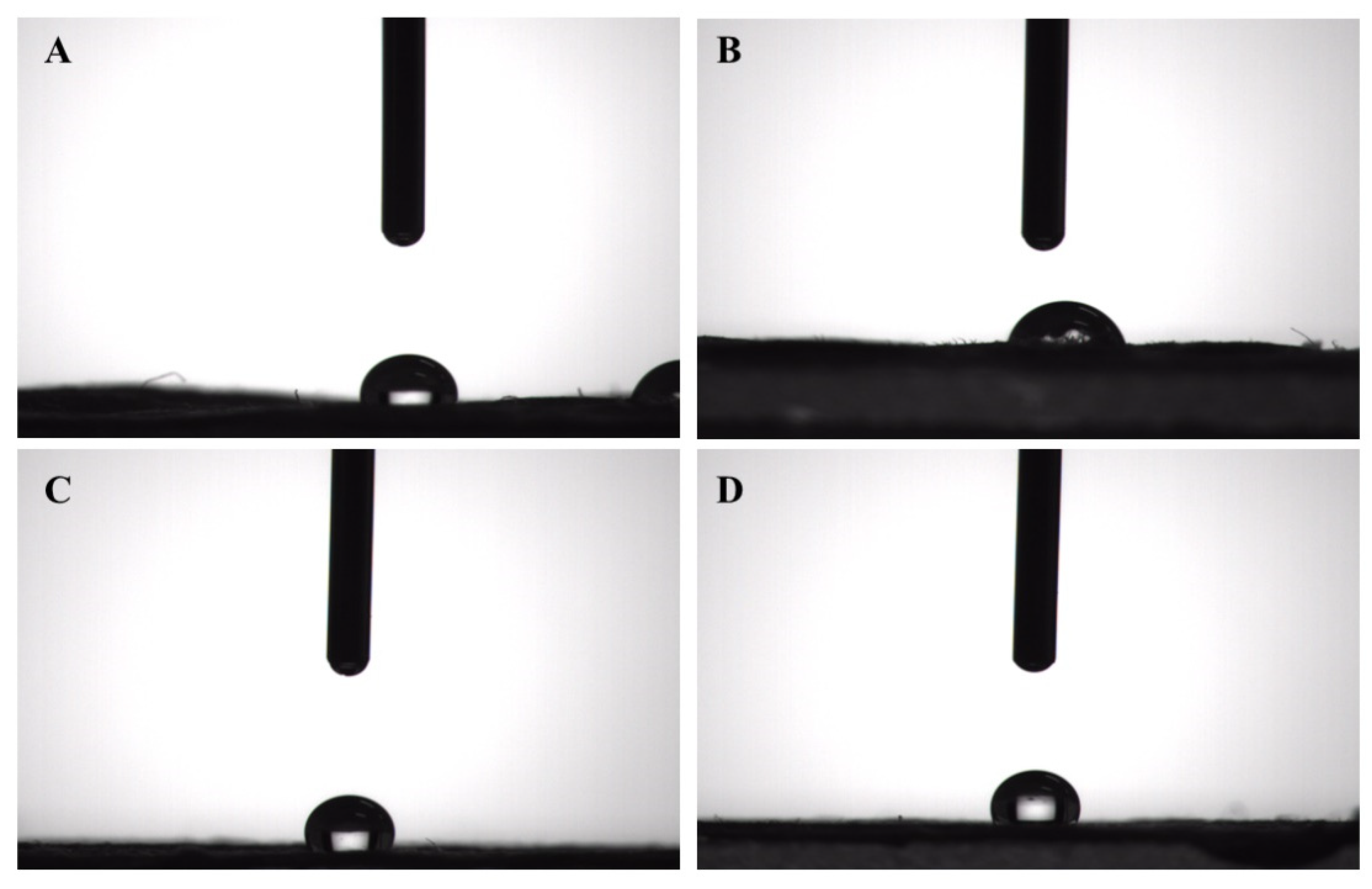 Coatings 11 01489 g005
