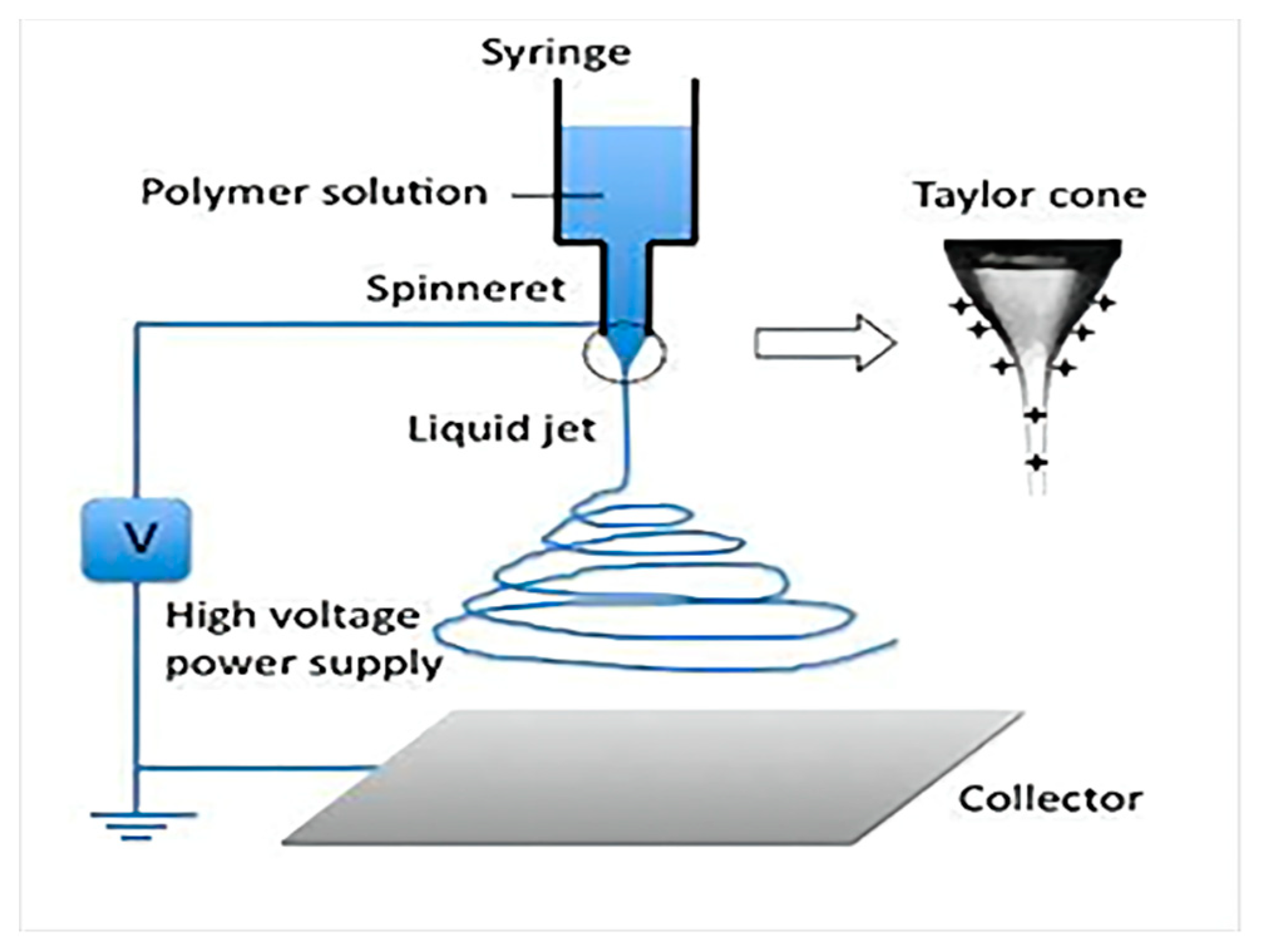 Coatings 11 01495 g002 550