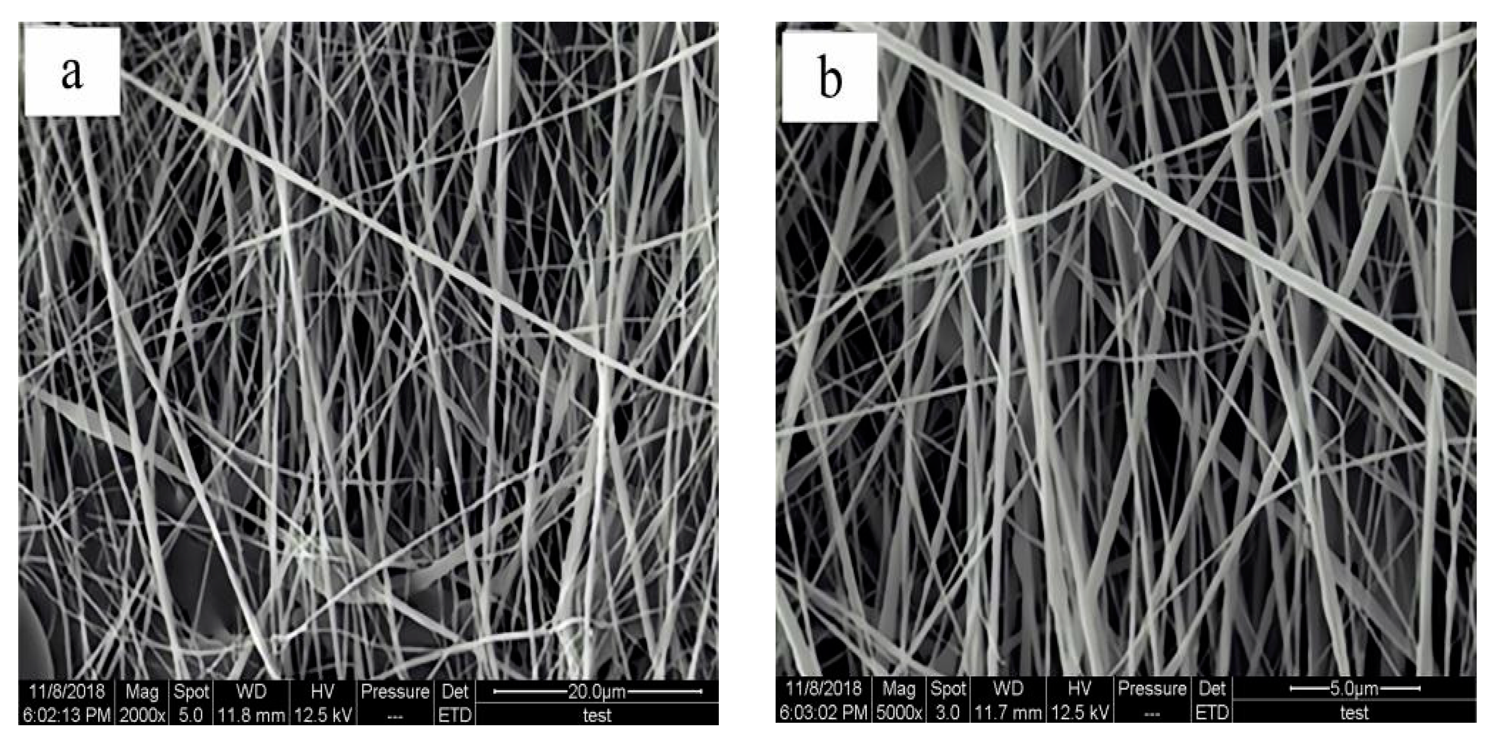 Coatings 11 01495 g006 550