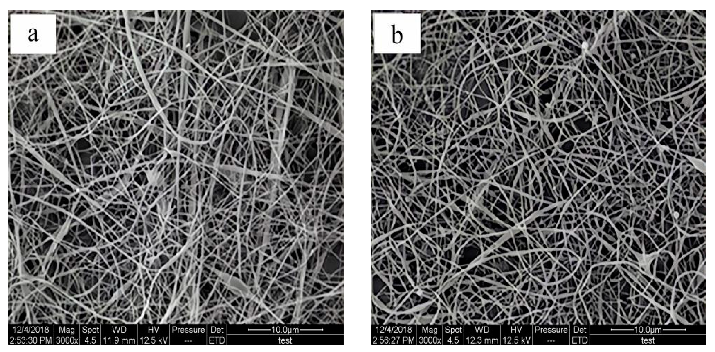Coatings 11 01495 g008a 550