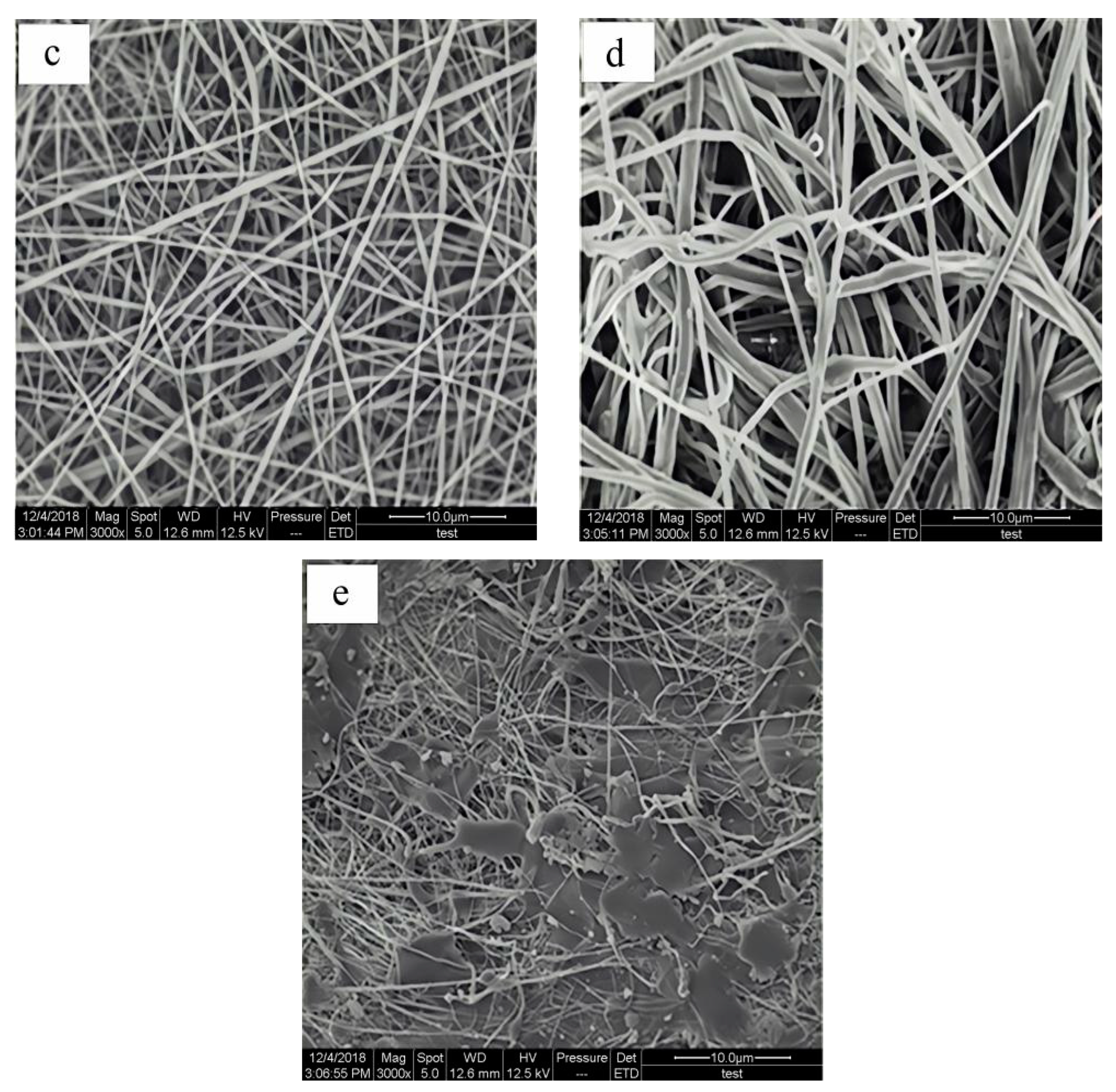 Coatings 11 01495 g018b 550