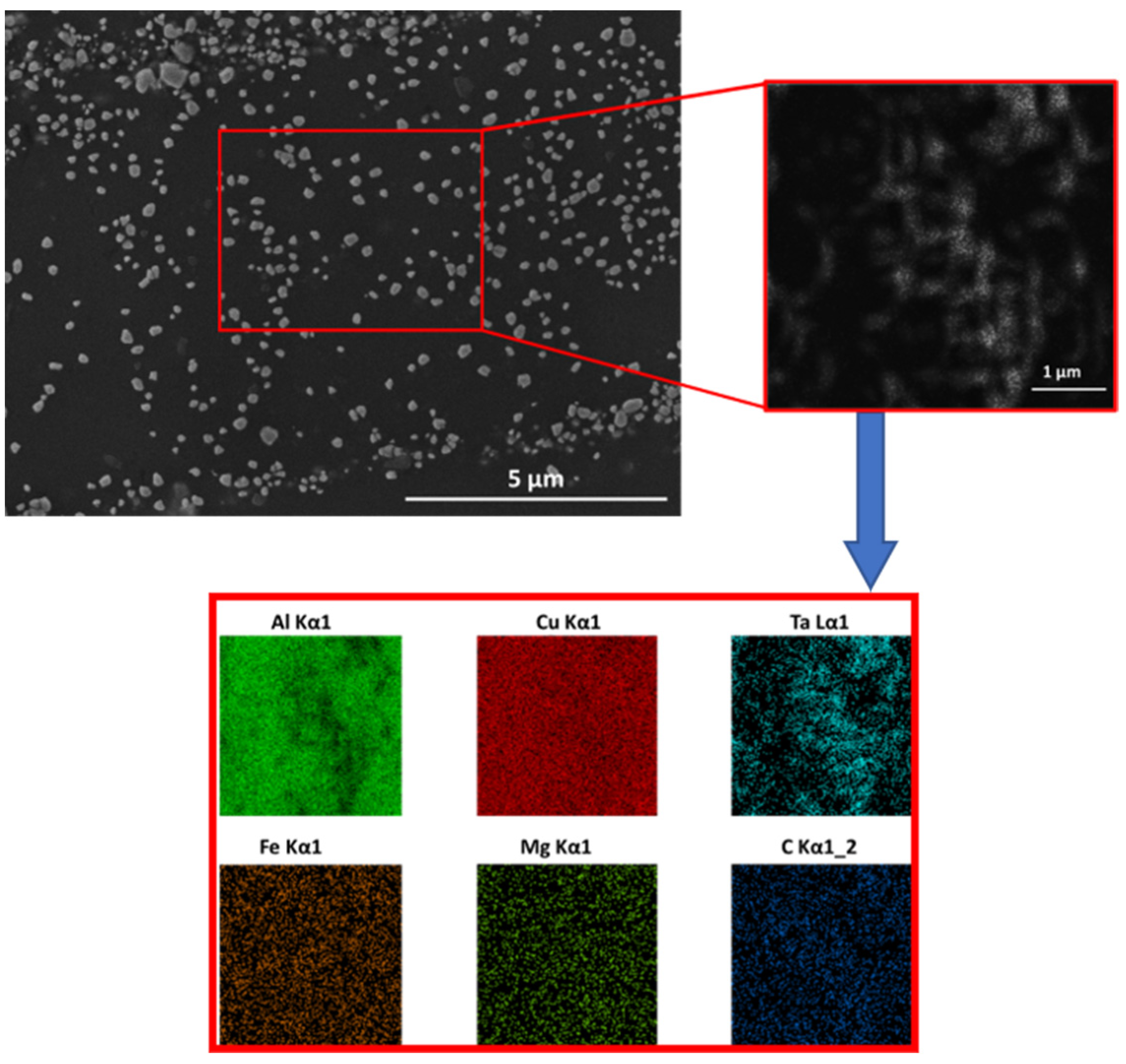 Coatings 11 01496 g007
