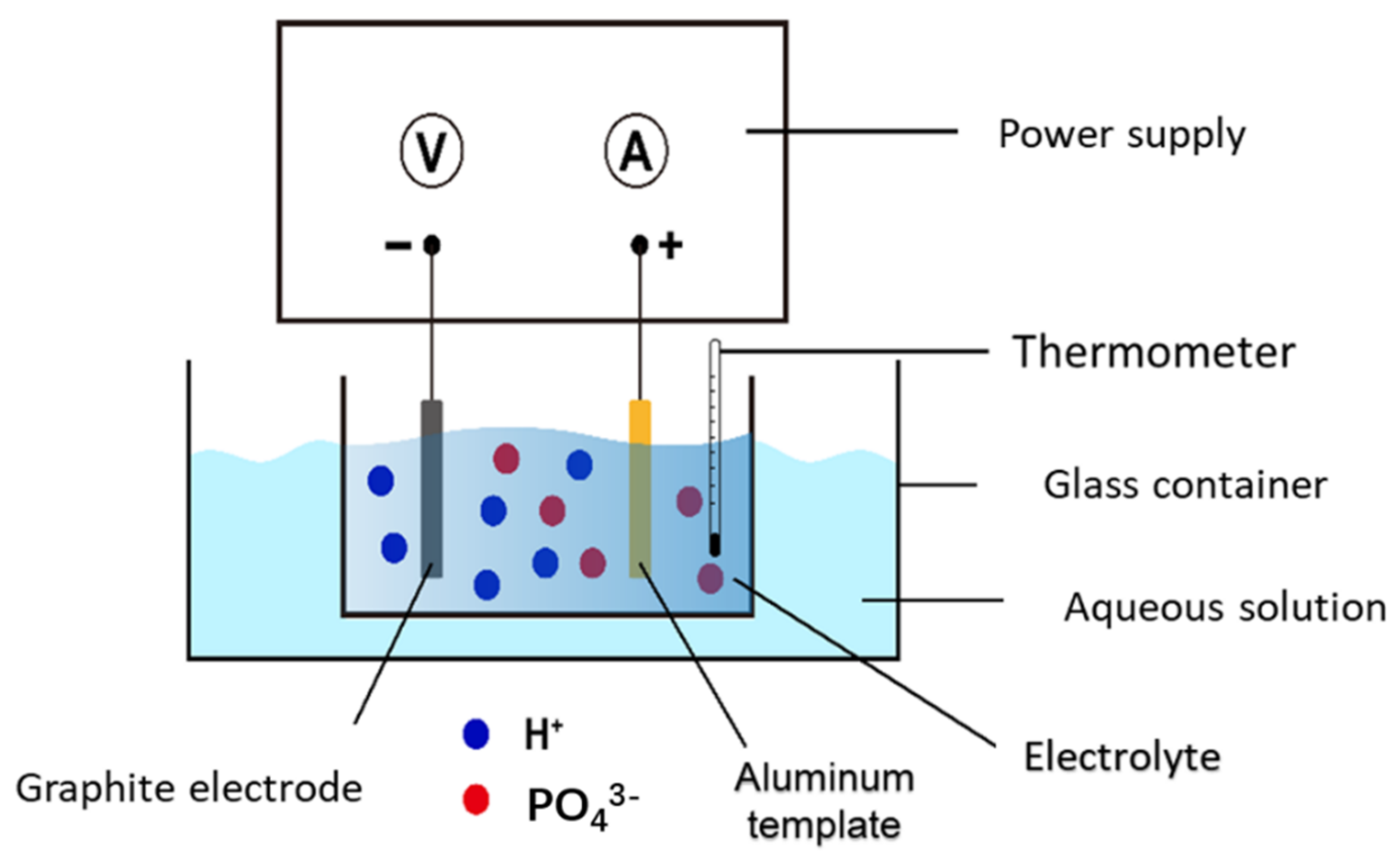 Coatings 11 01498 g001 550