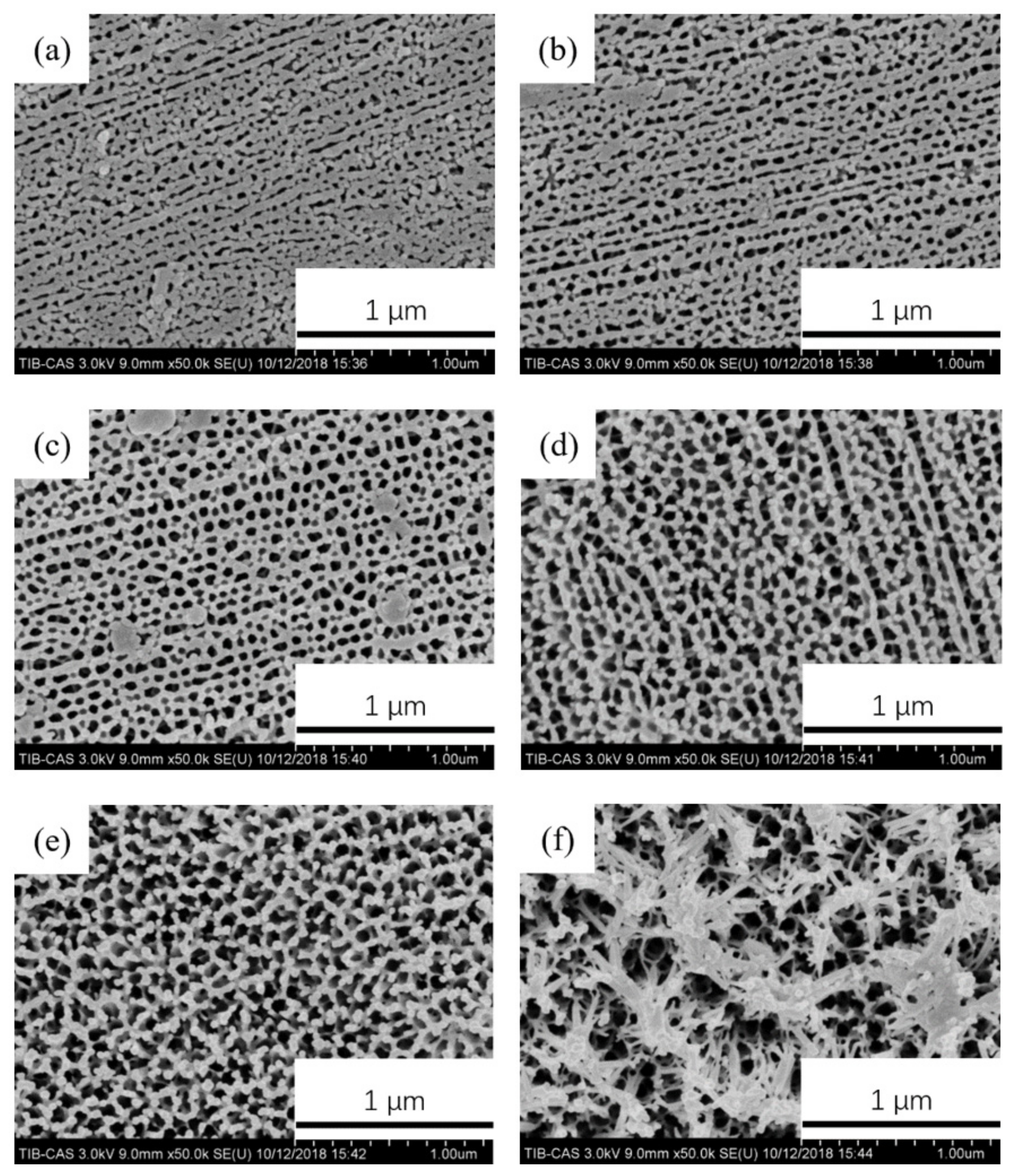 Coatings 11 01498 g002 550