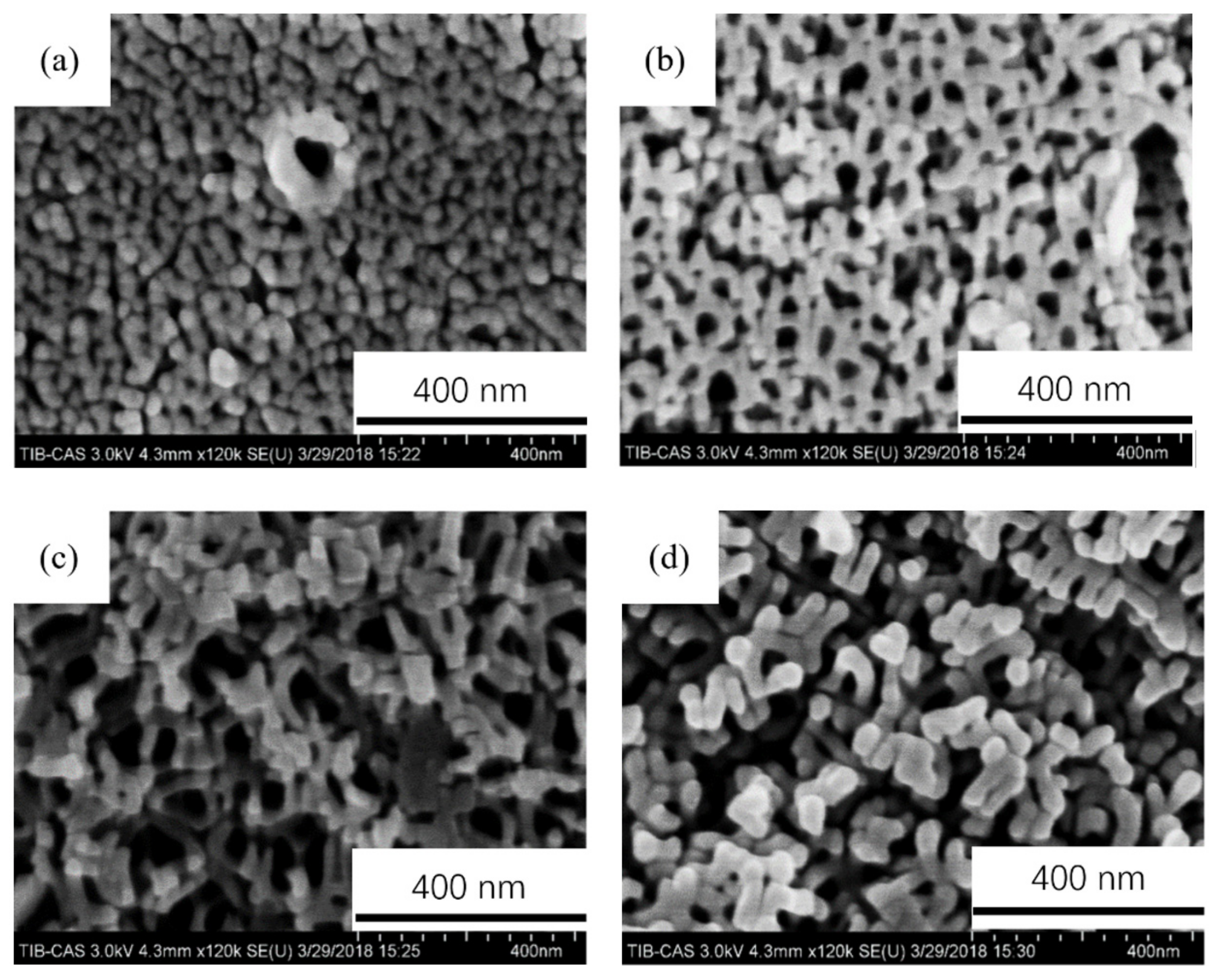 Coatings 11 01498 g003 550