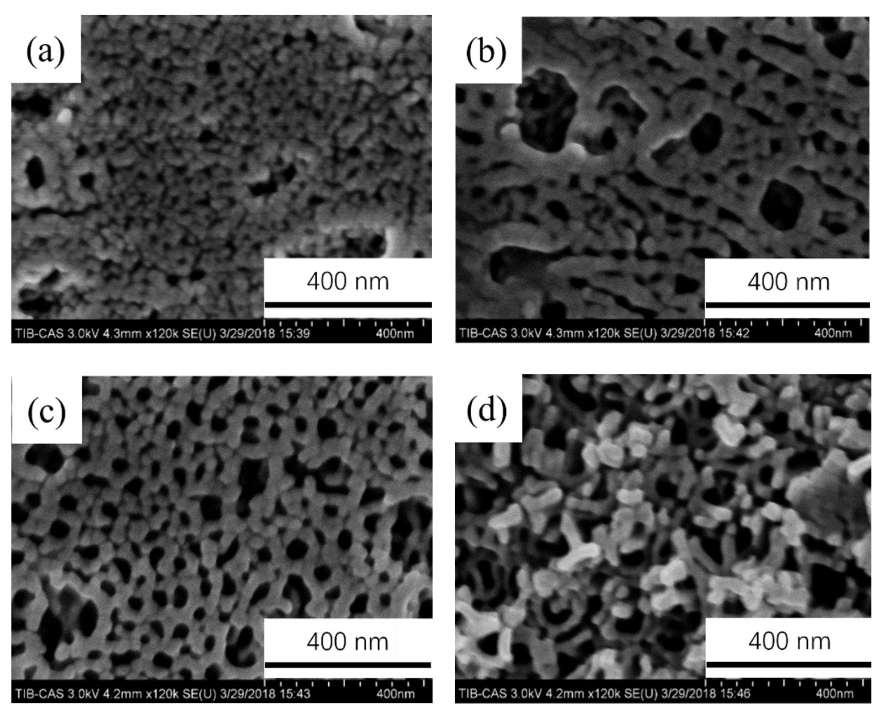 Coatings 11 01498 g004 550
