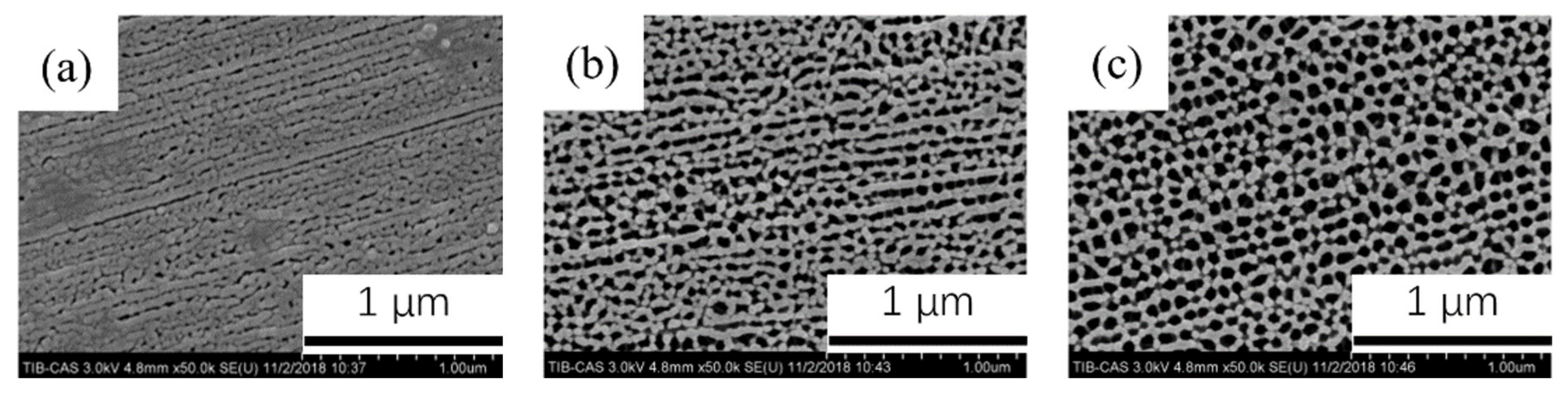 Coatings 11 01498 g005 550