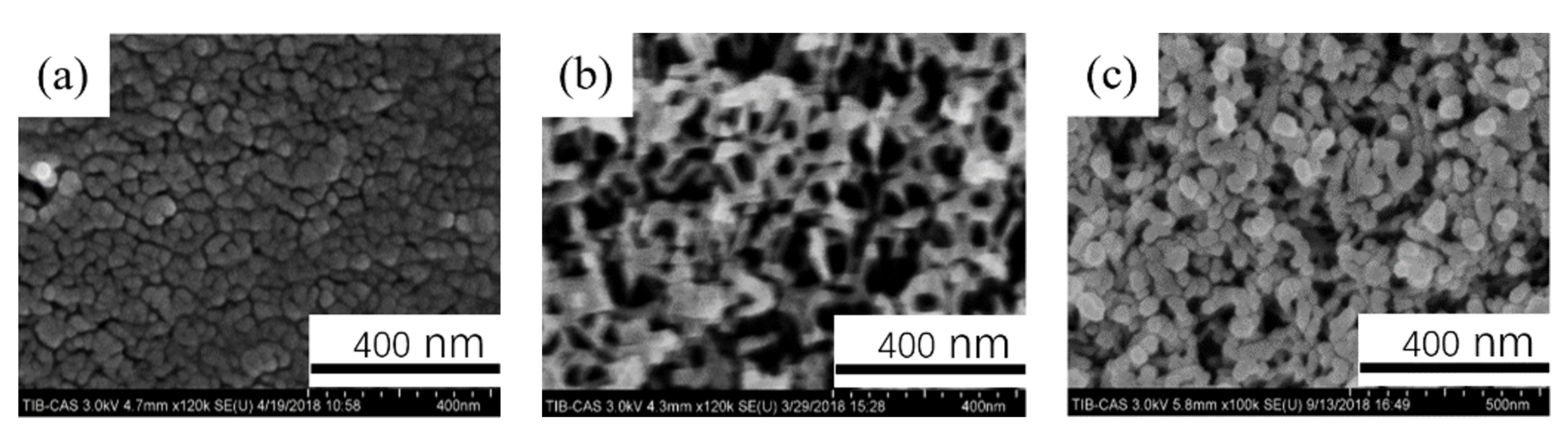 Coatings 11 01498 g006 550
