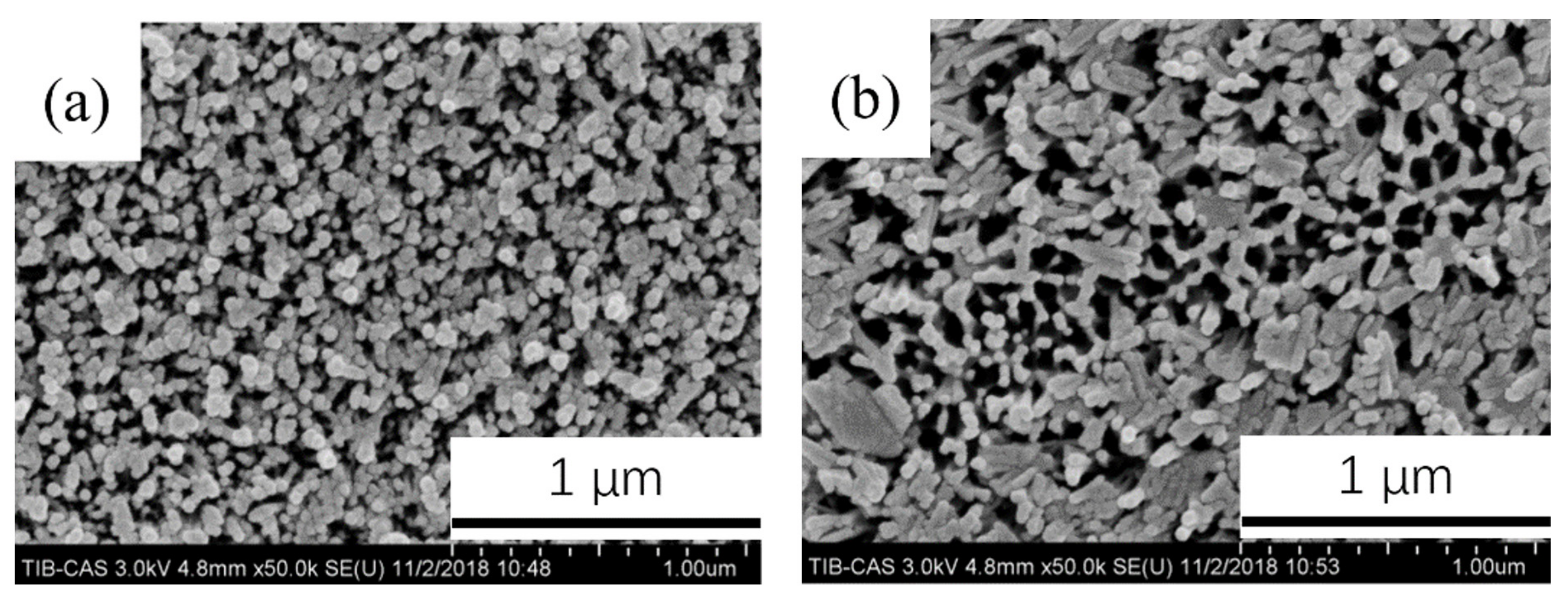 Coatings 11 01498 g008 550