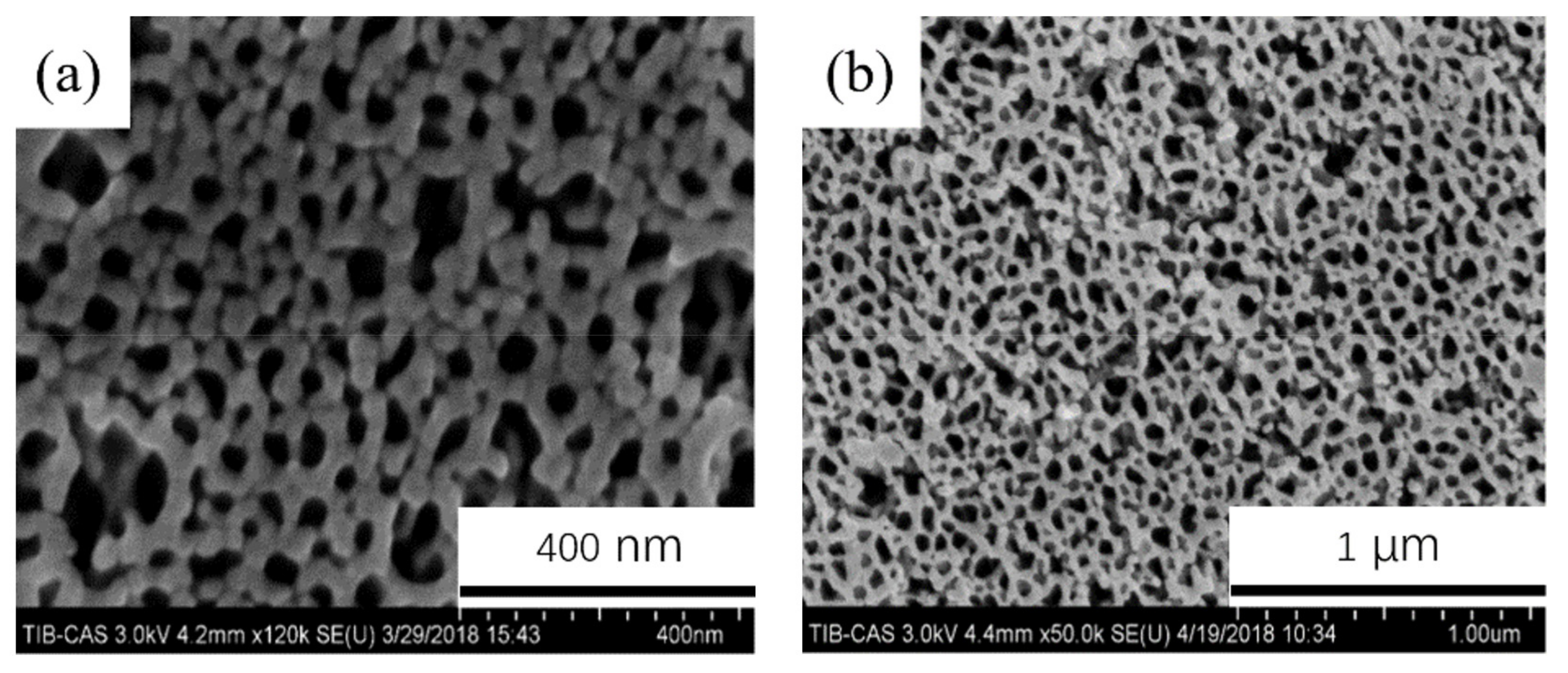 Coatings 11 01498 g010 550