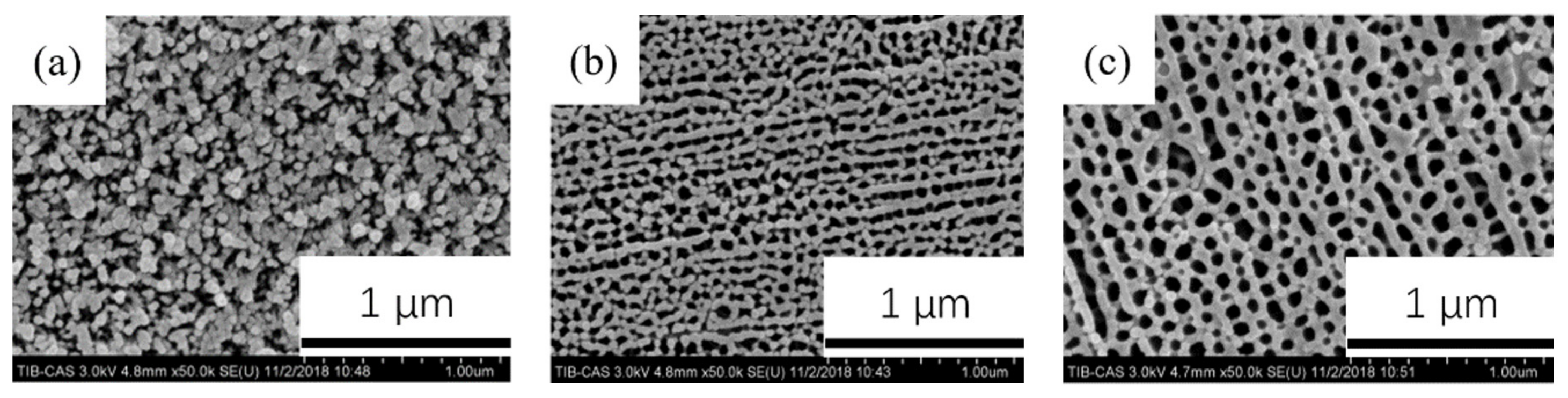 Coatings 11 01498 g011 550
