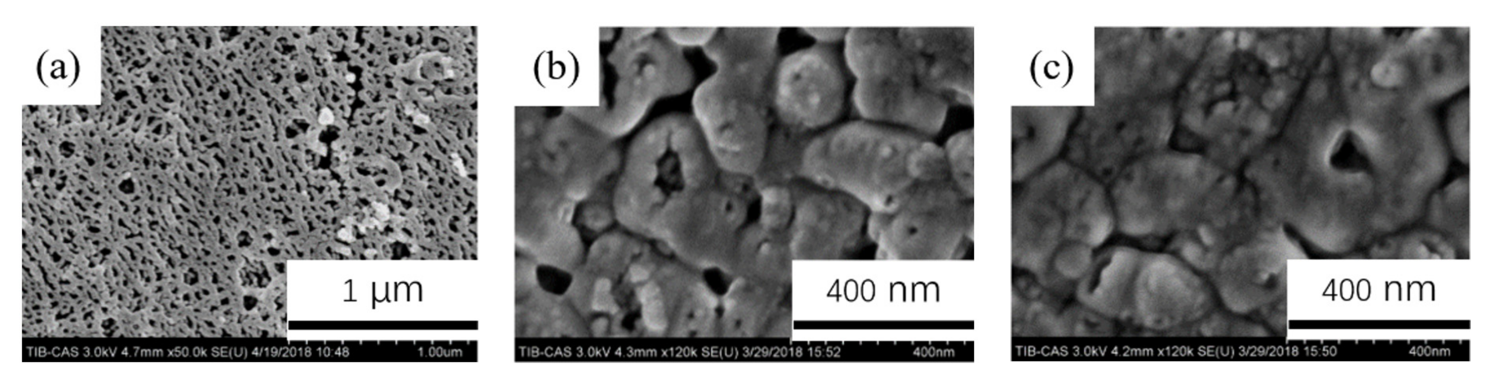 Coatings 11 01498 g013 550