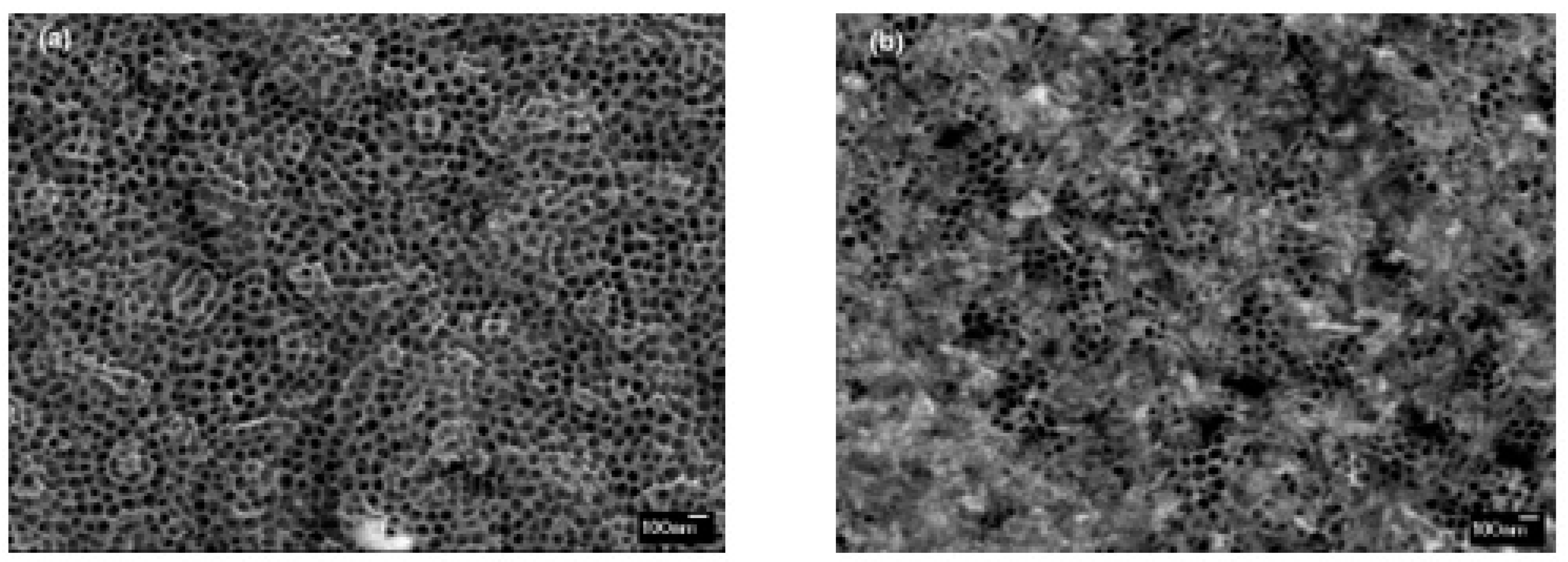 Coatings 11 01500 g003