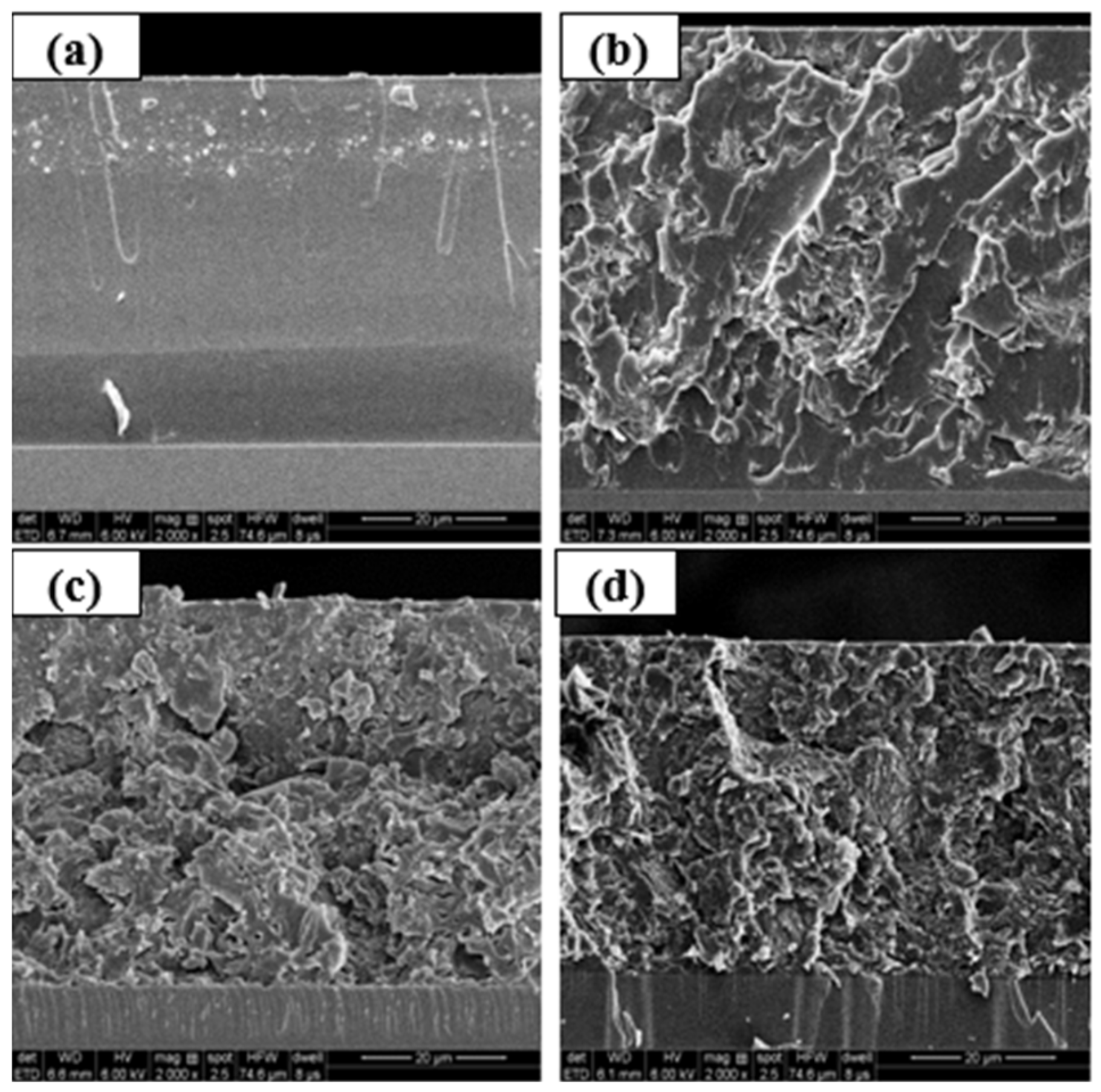 Coatings 11 01503 g002