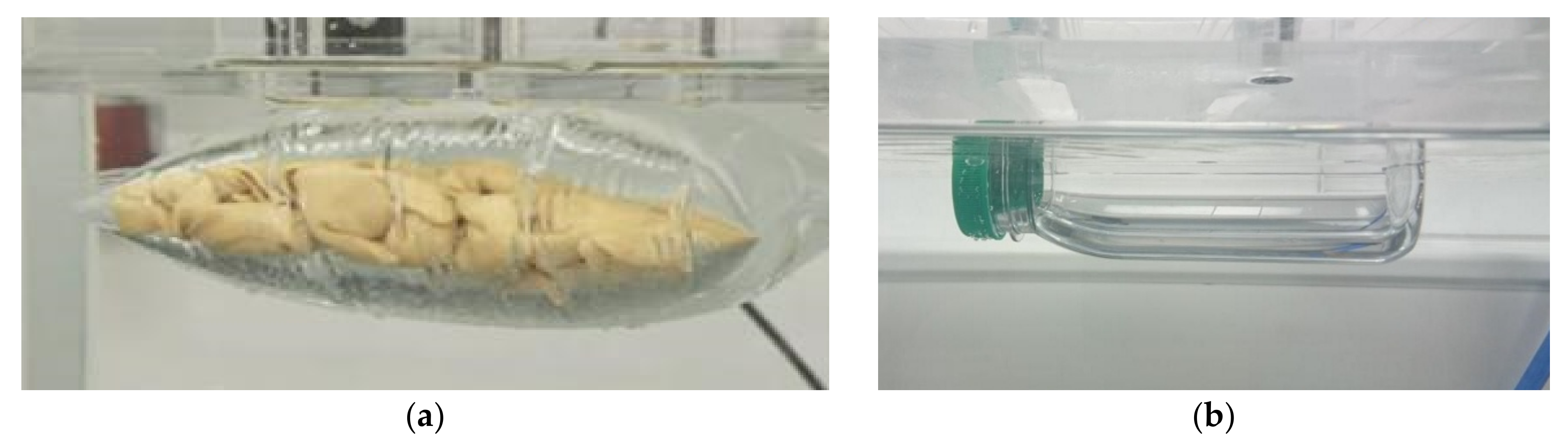 Coatings 11 01504 g011 550