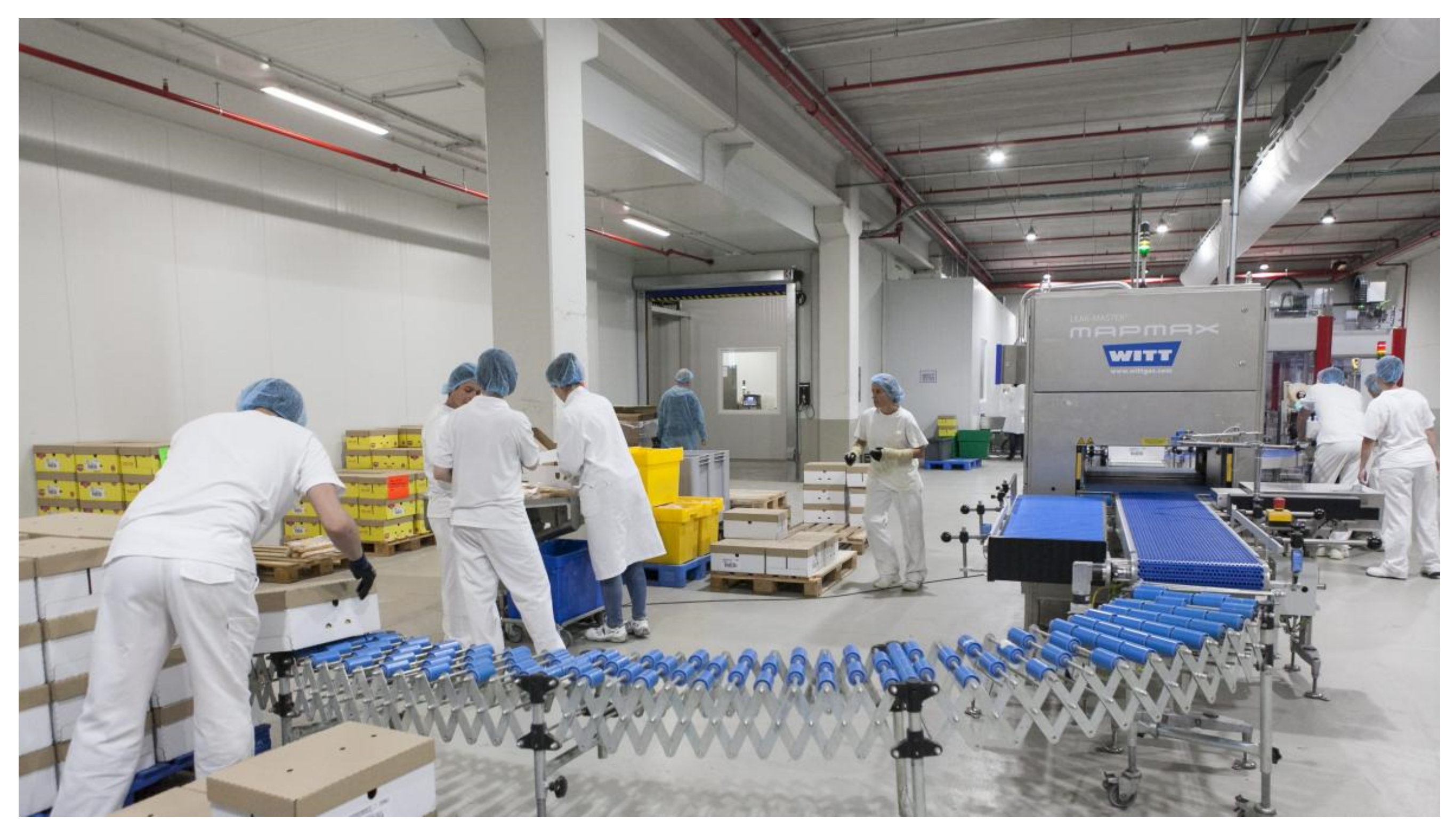 Coatings 11 01504 g013 550