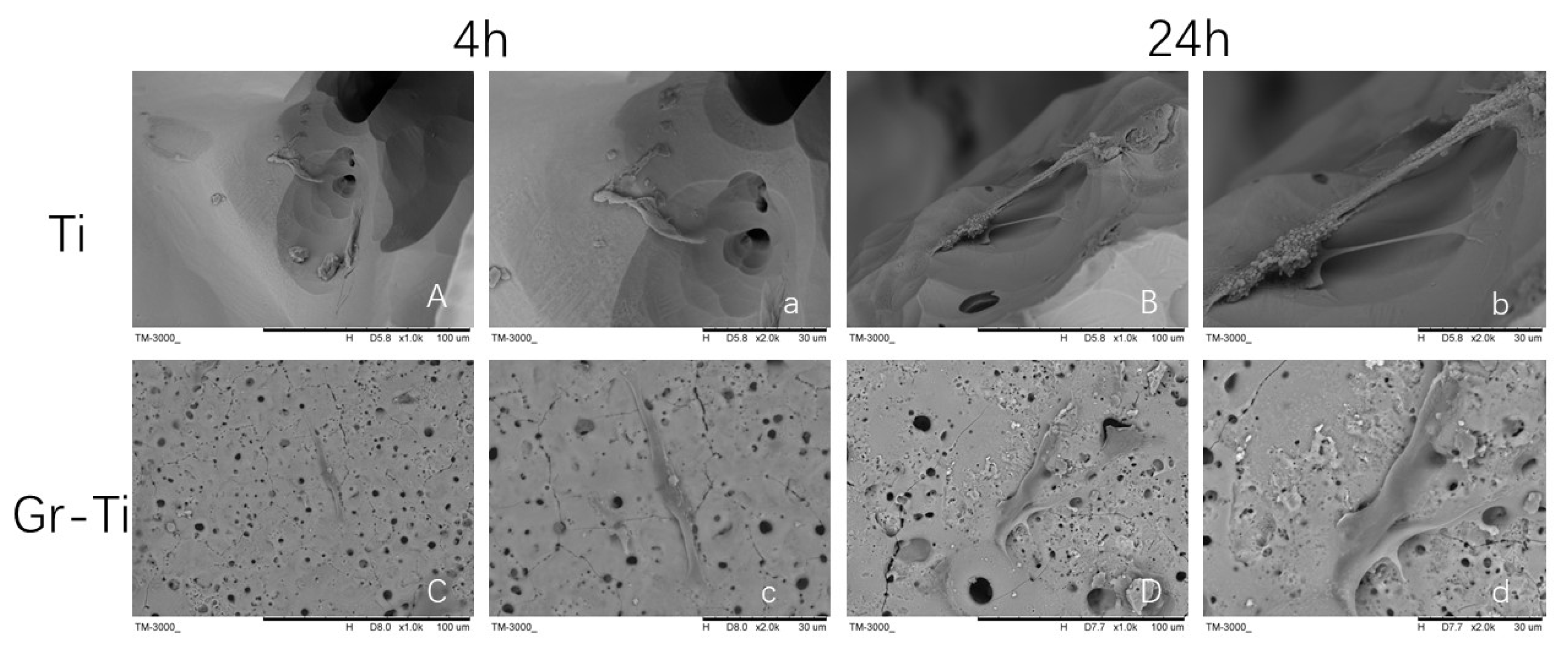 Coatings 11 01509 g005 550