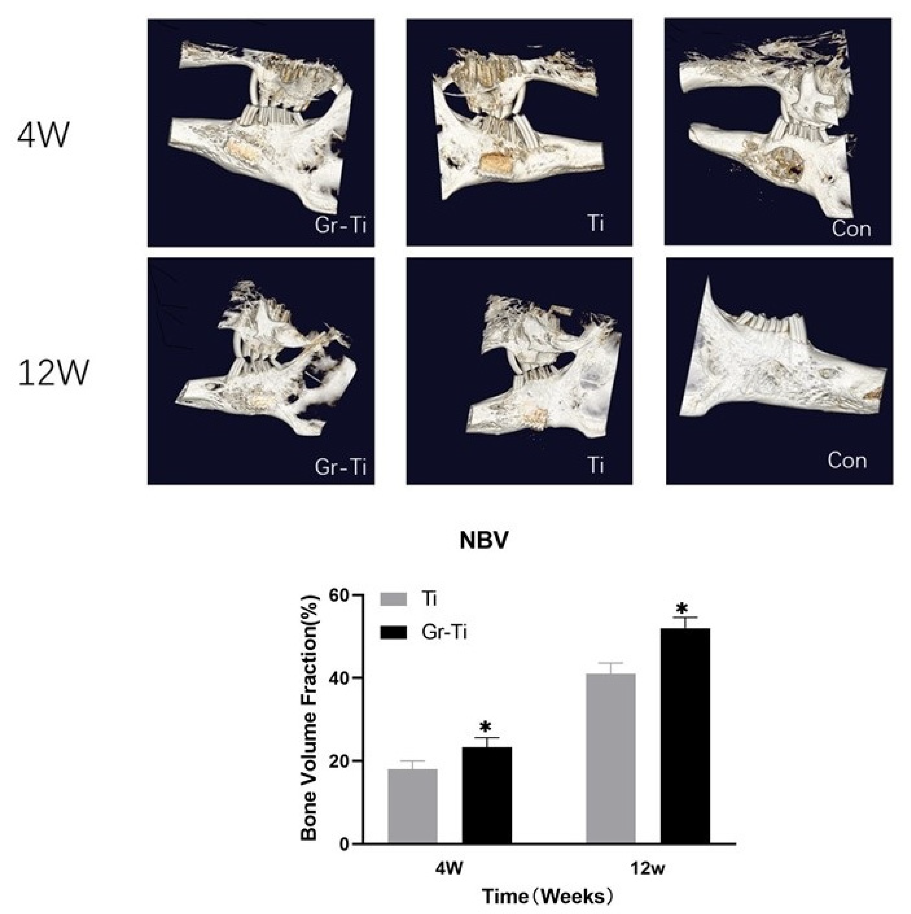 Coatings 11 01509 g008 550