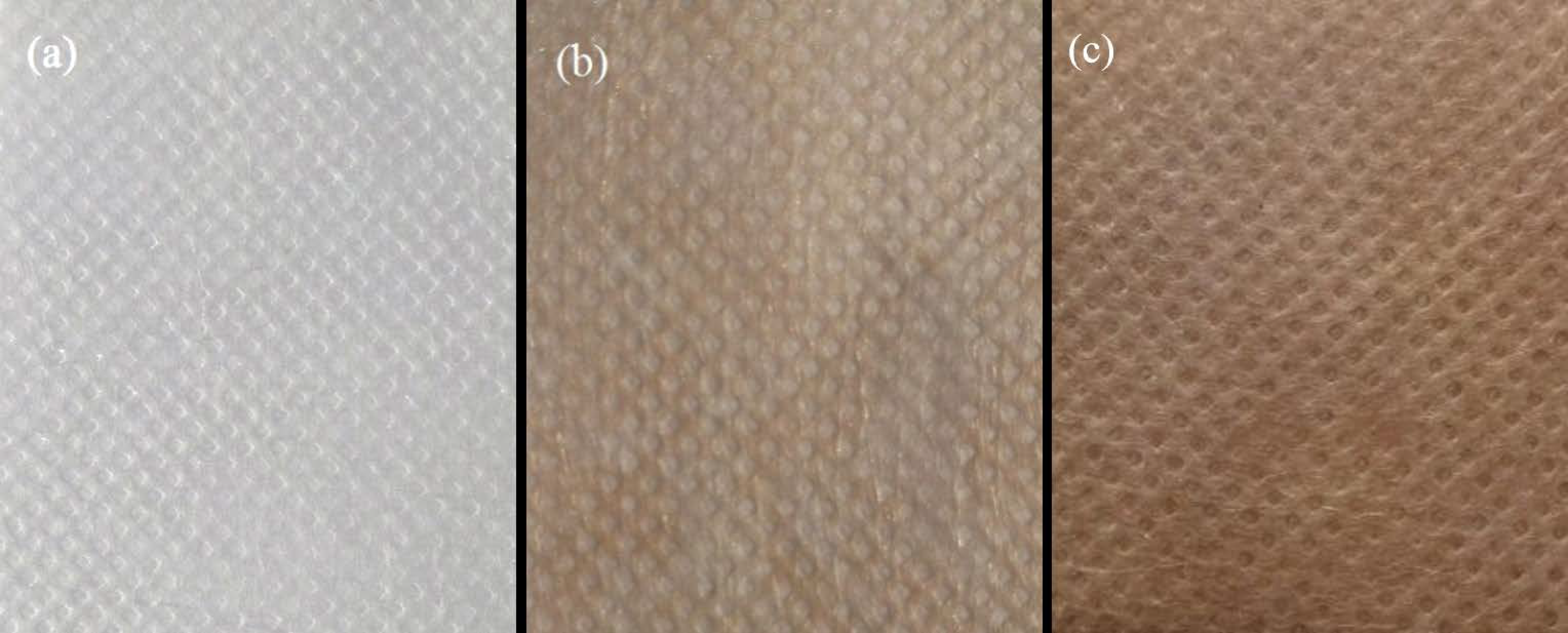 Coatings 11 01517 g003