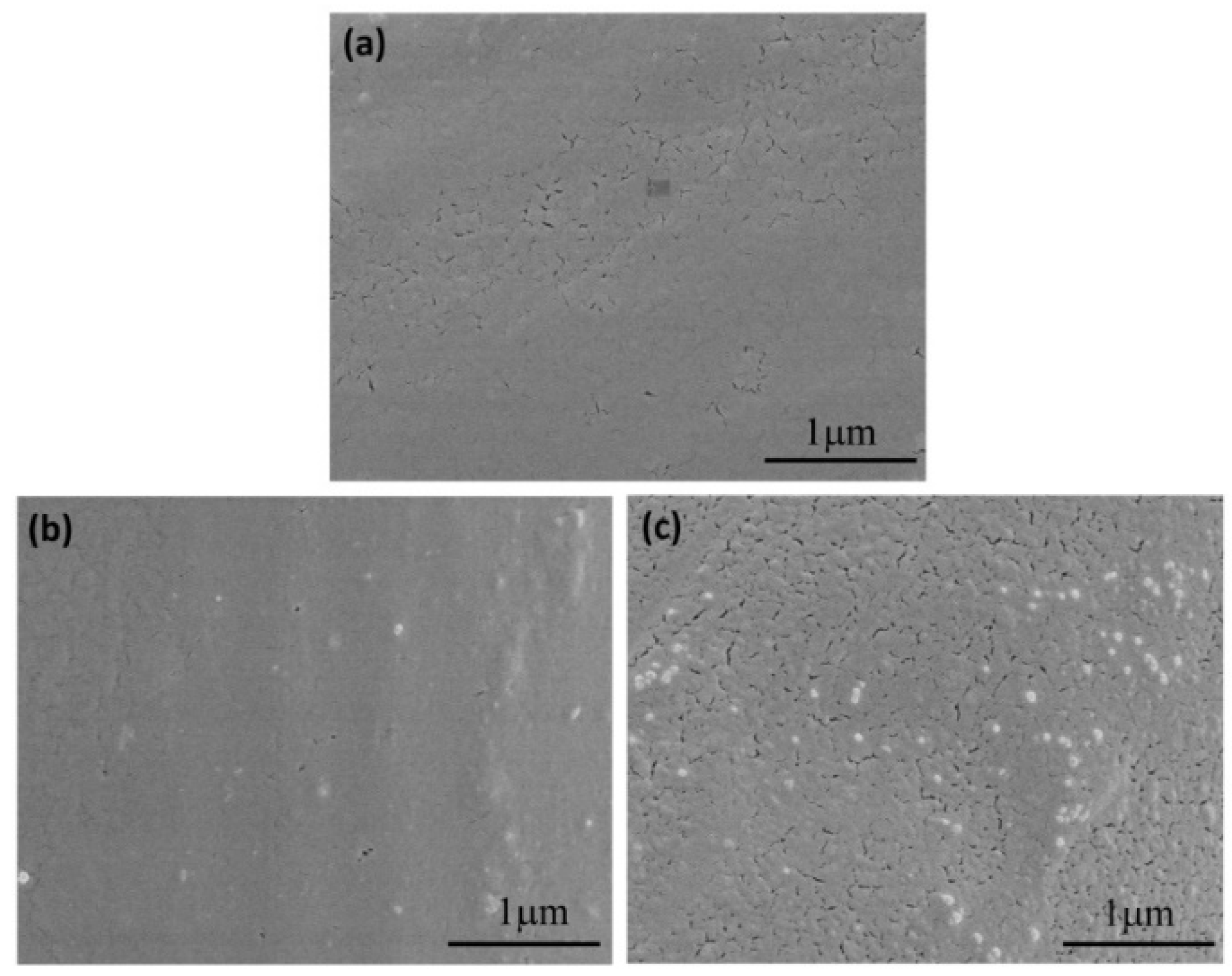 Coatings 11 01517 g004