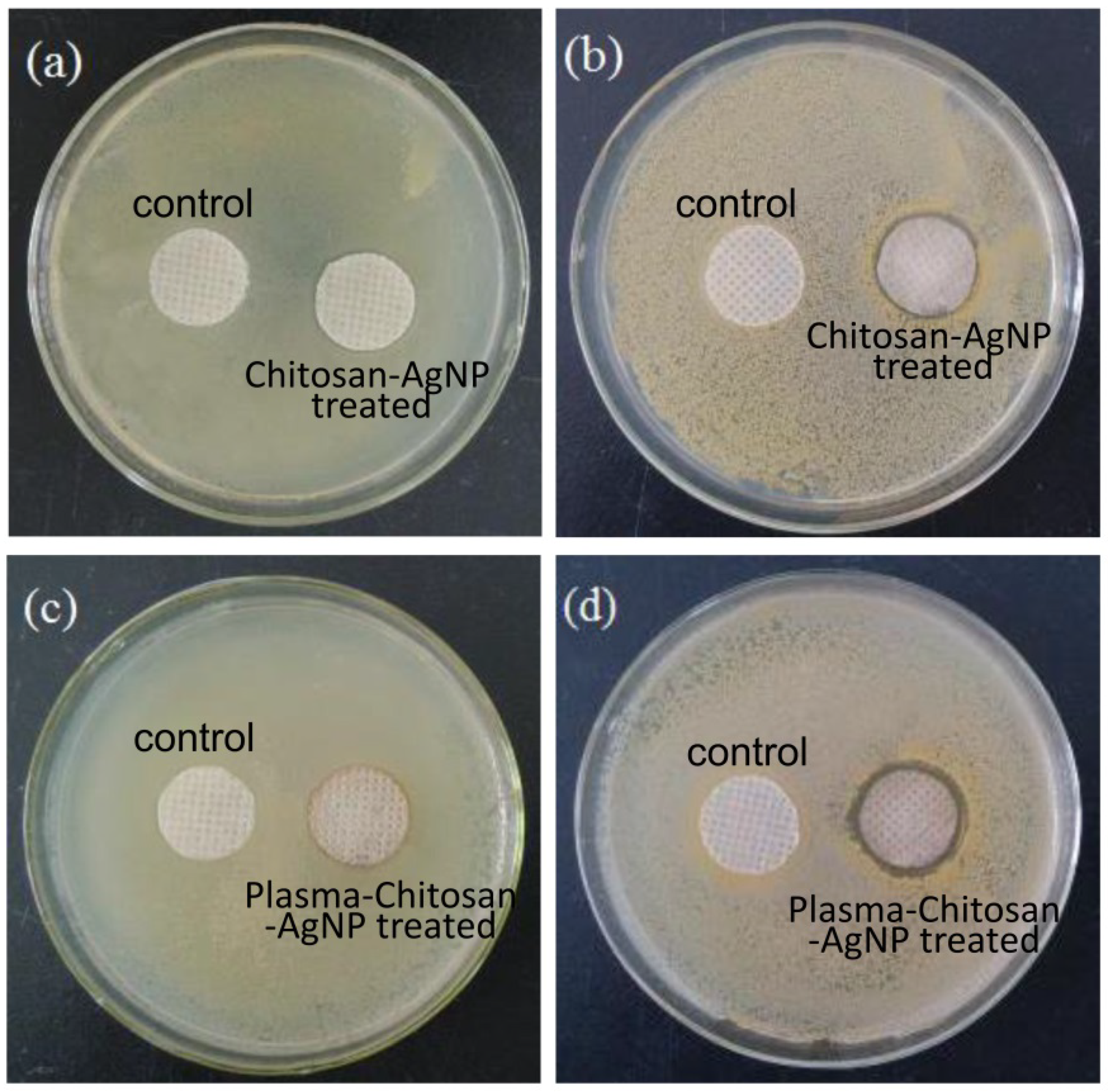Coatings 11 01517 g008