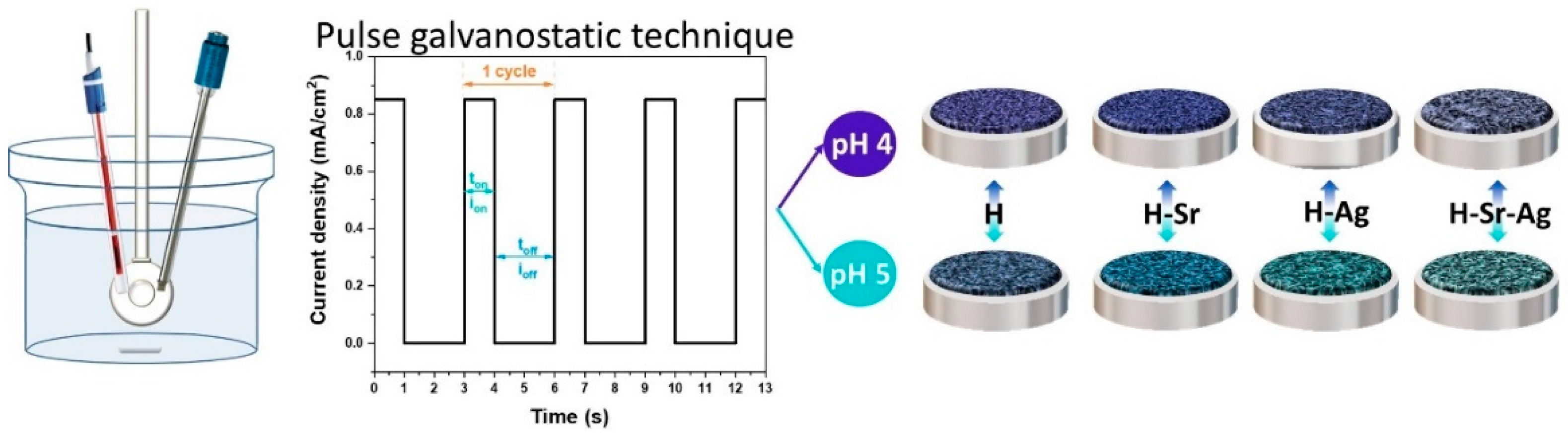 Coatings 11 01522 g001