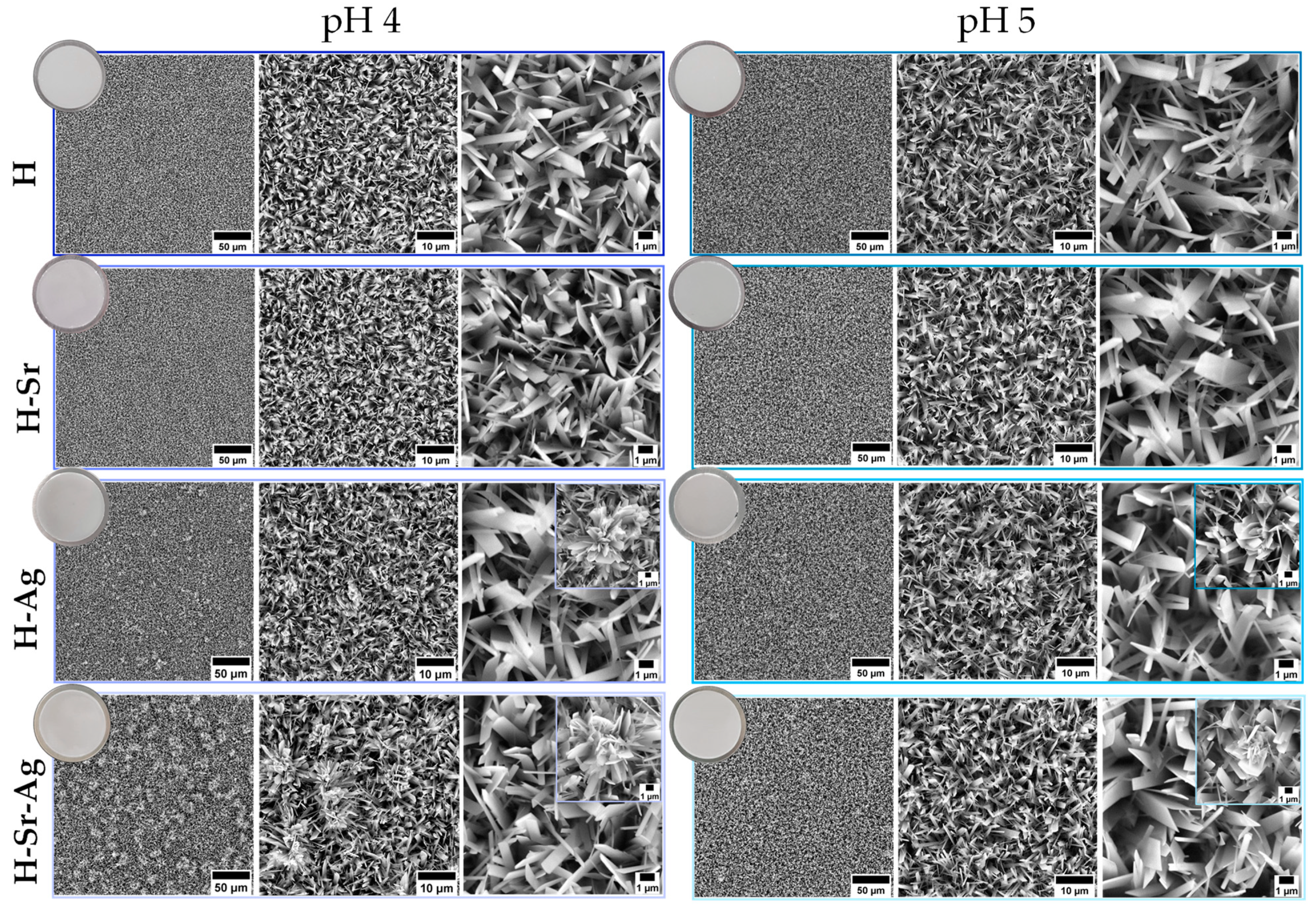 Coatings 11 01522 g002