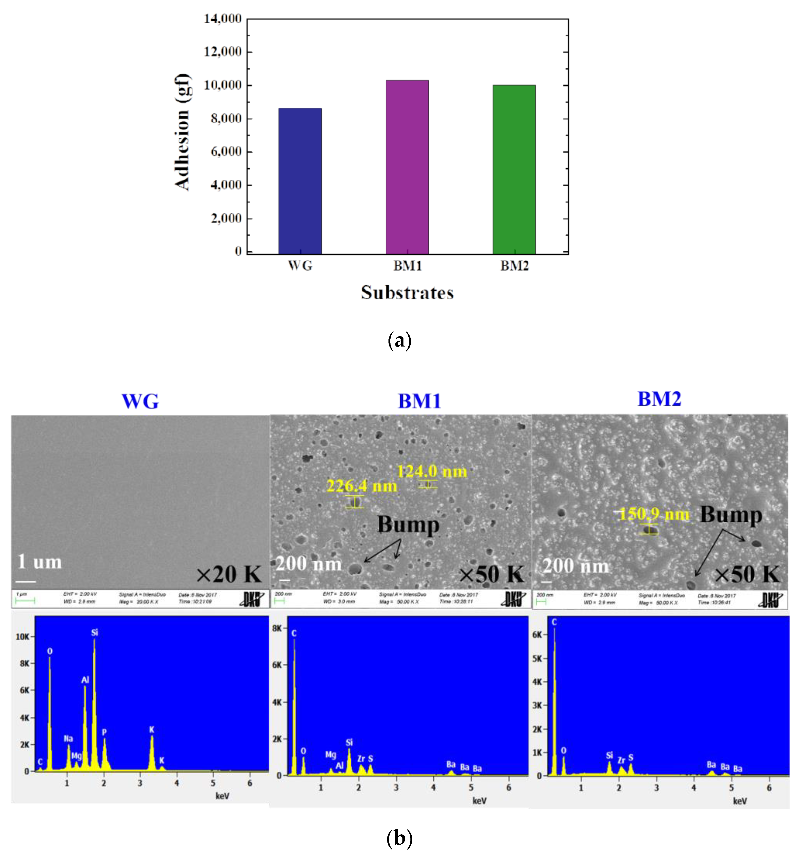 Coatings 11 01523 g002a