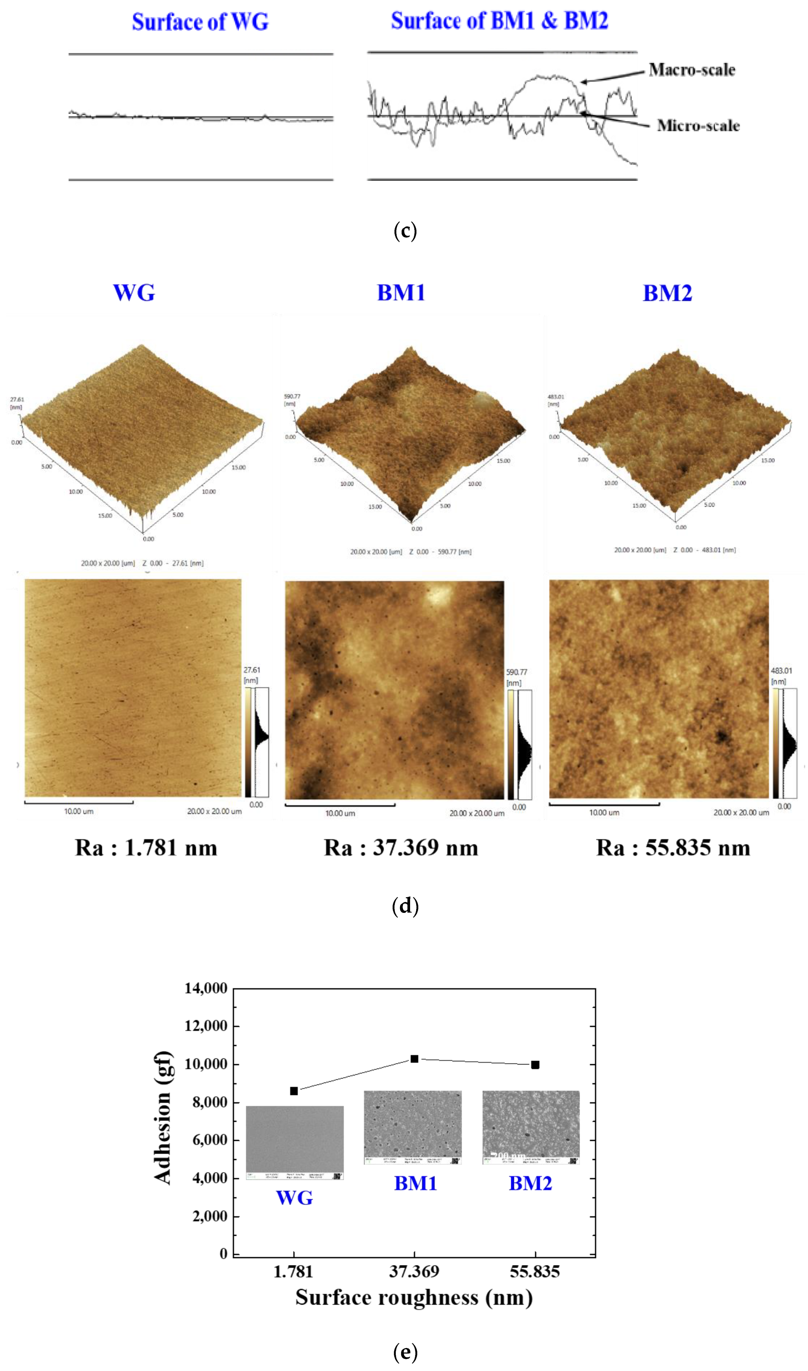 Coatings 11 01523 g002b