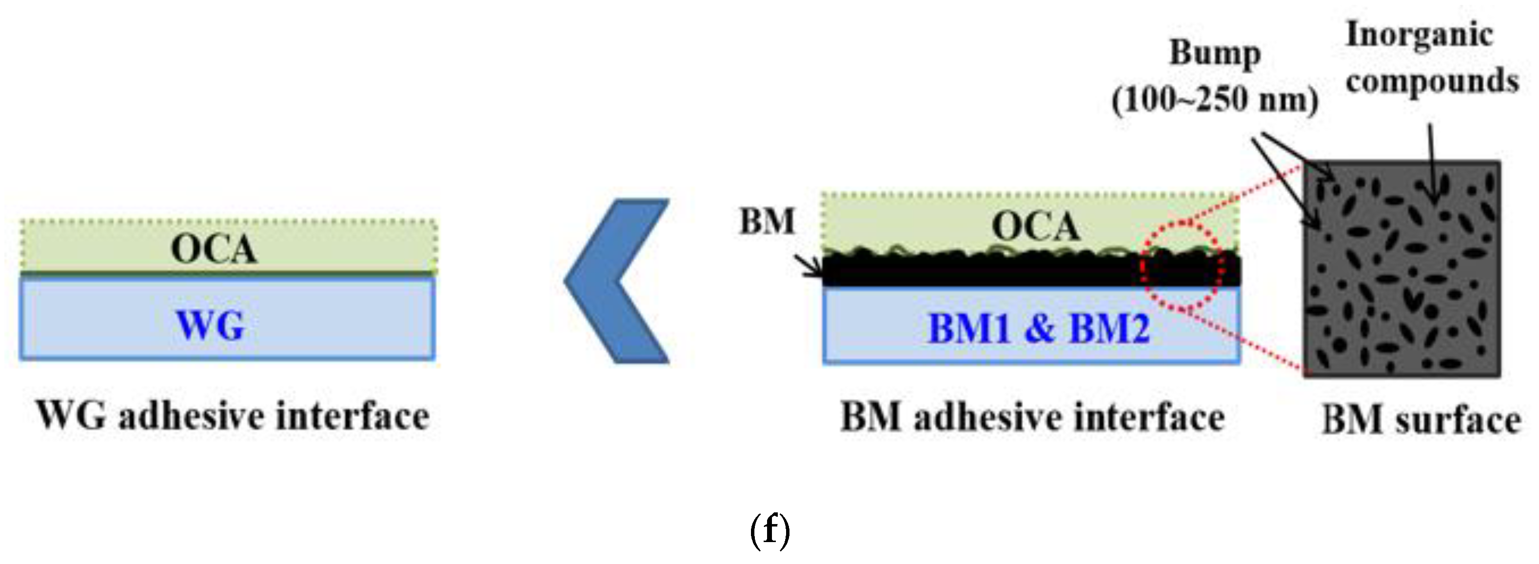Coatings 11 01523 g002c