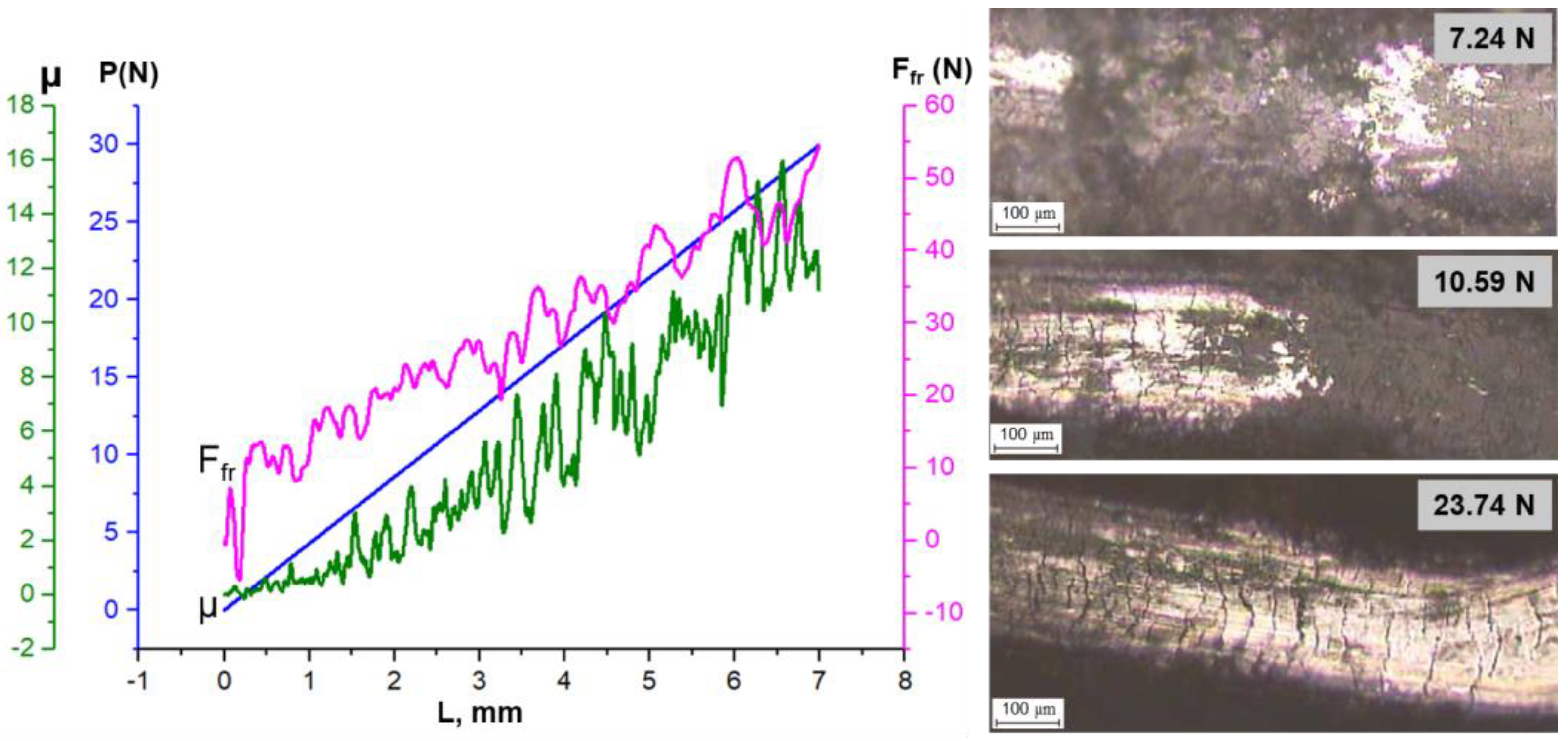 Coatings 11 01524 g012