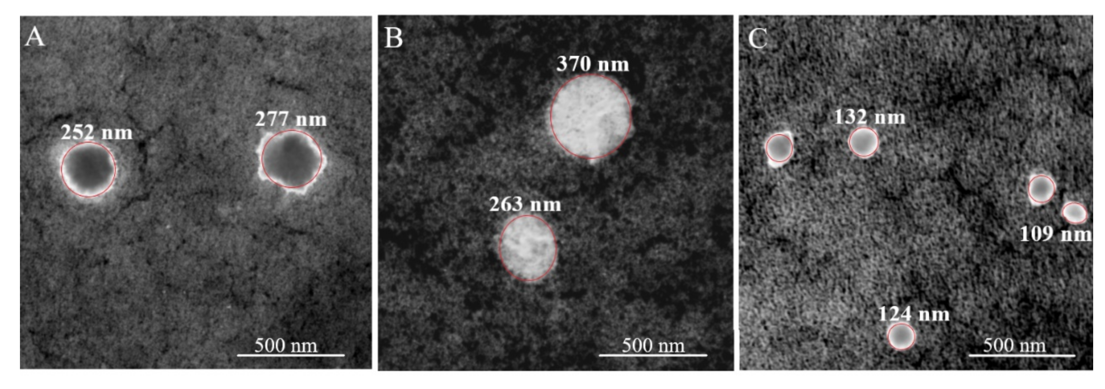 Coatings 11 01525 g005 550