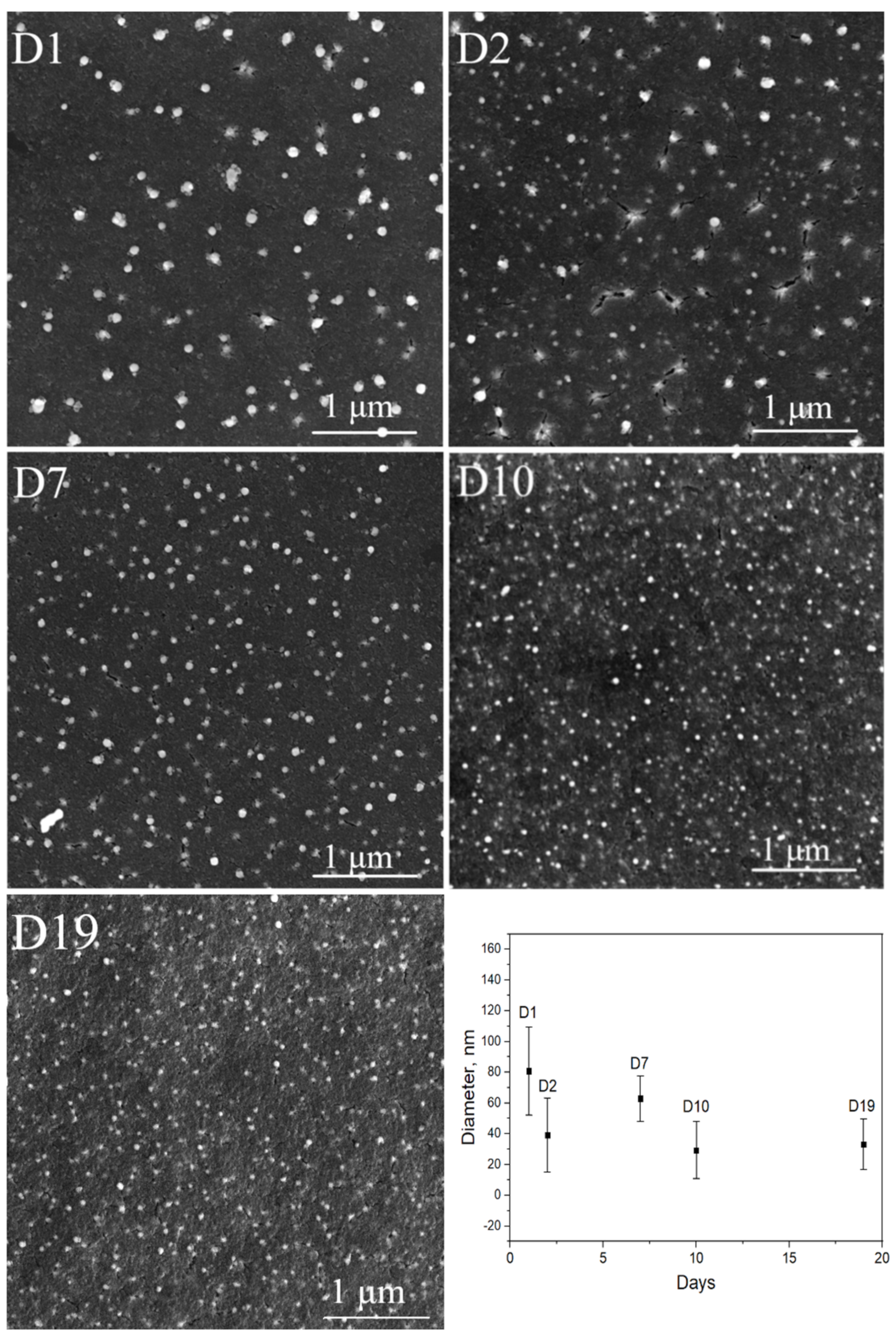 Coatings 11 01525 g008 550