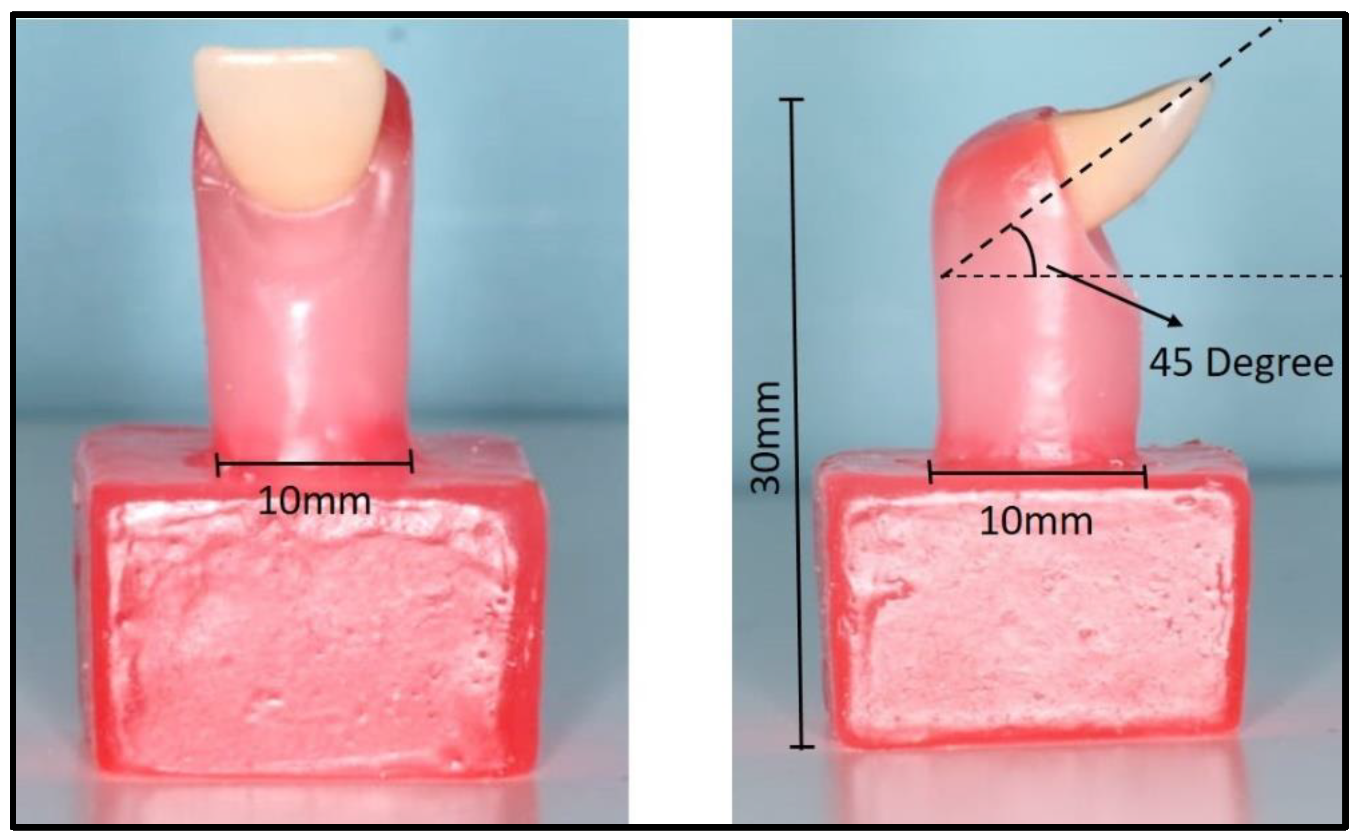 Coatings 11 01527 g001 Coatings 11 01527 g001