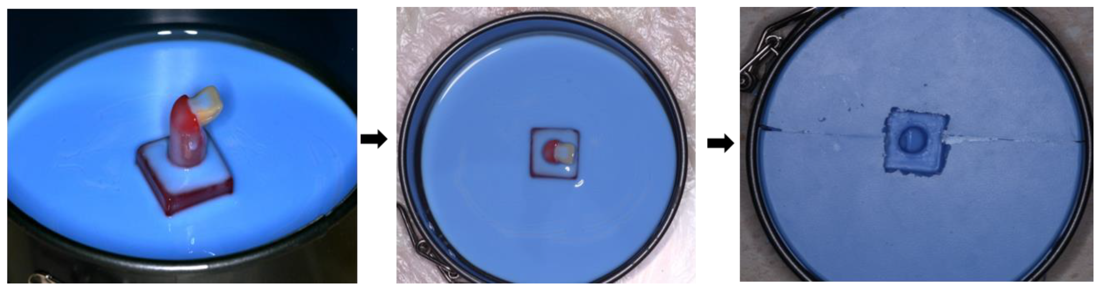 Coatings 11 01527 g002 Coatings 11 01527 g002