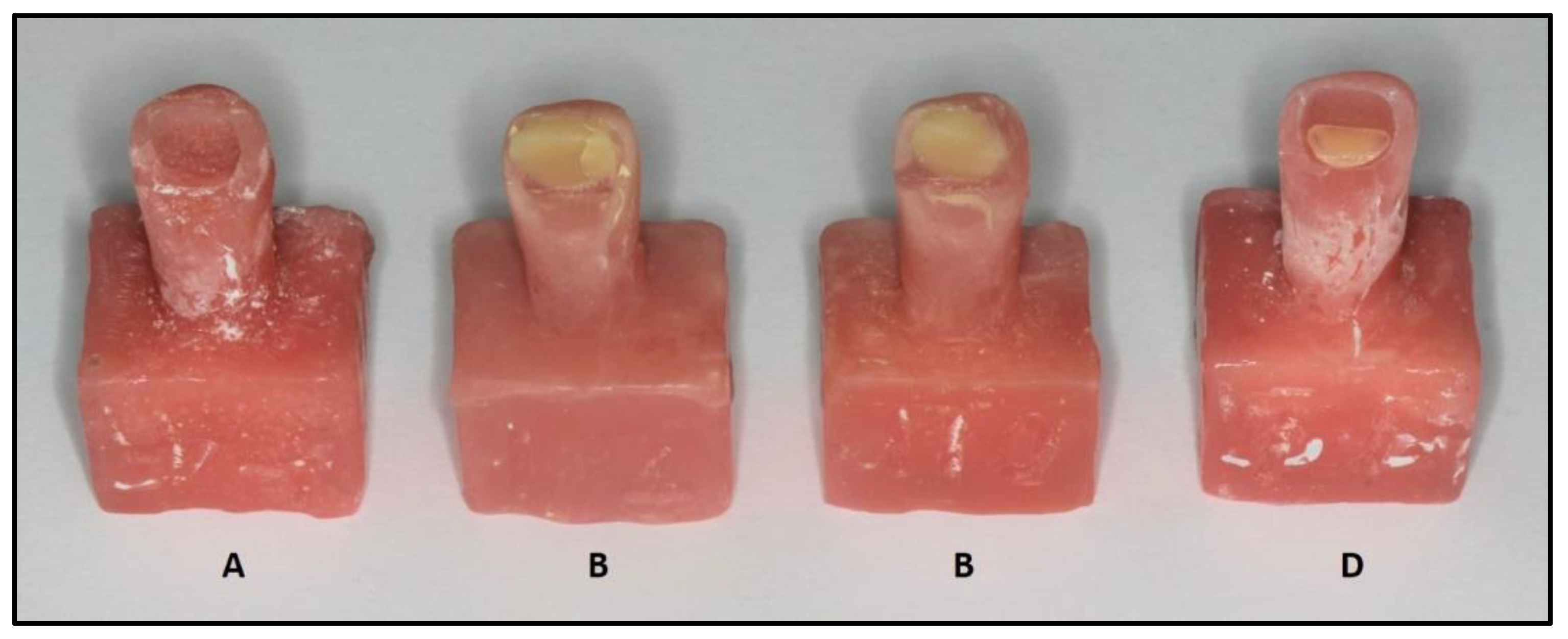 Coatings 11 01527 g006 Coatings 11 01527 g006