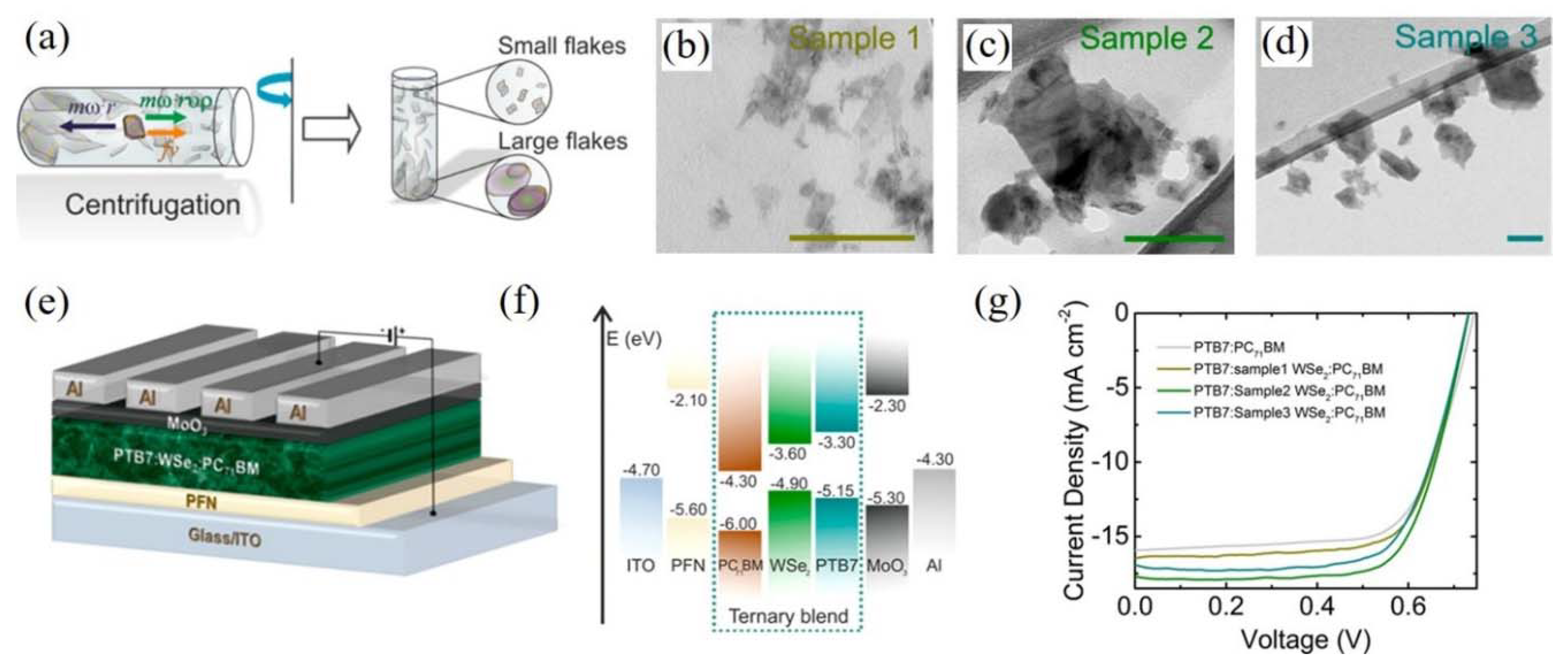 Coatings 11 01530 g002