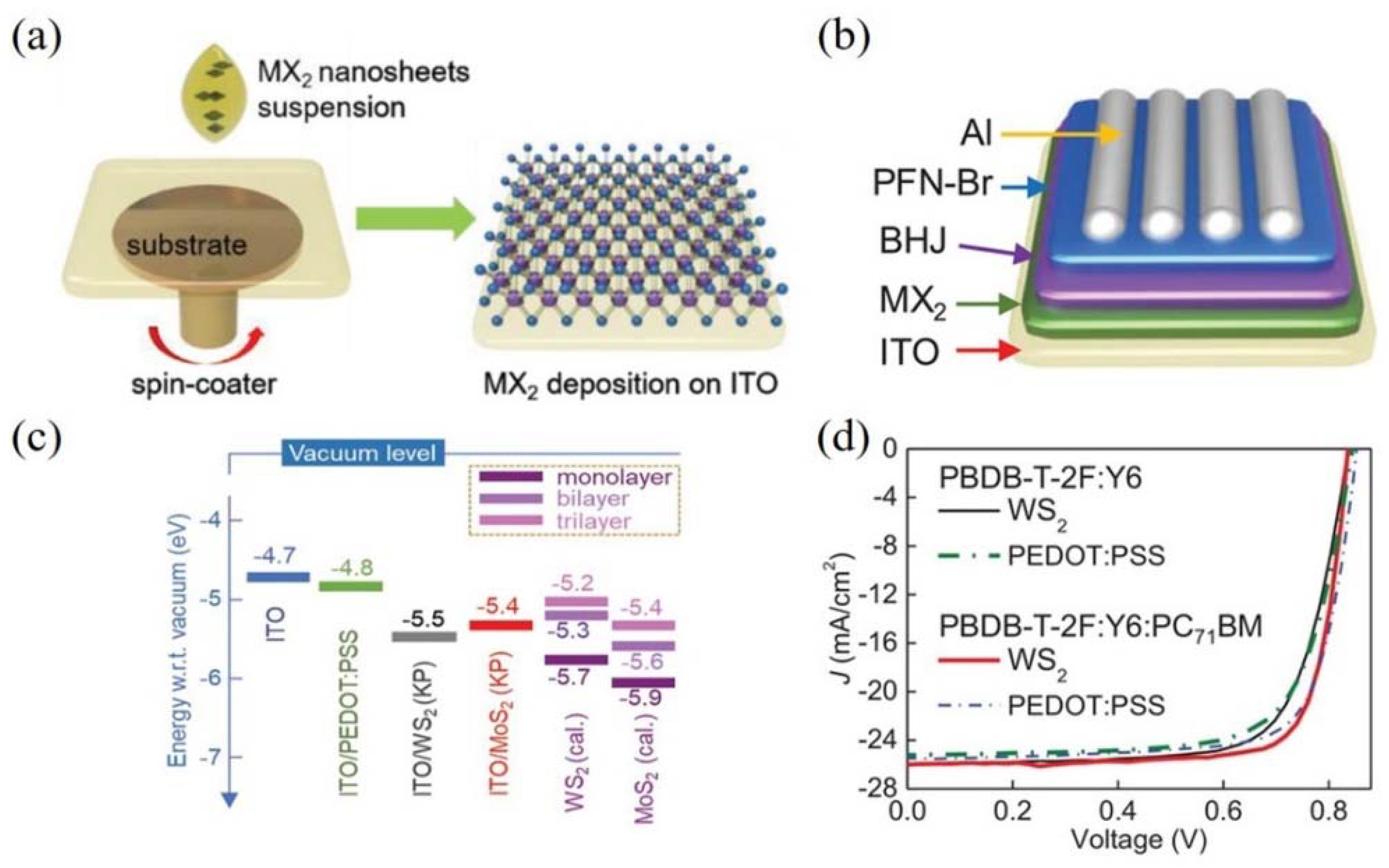 Coatings 11 01530 g005
