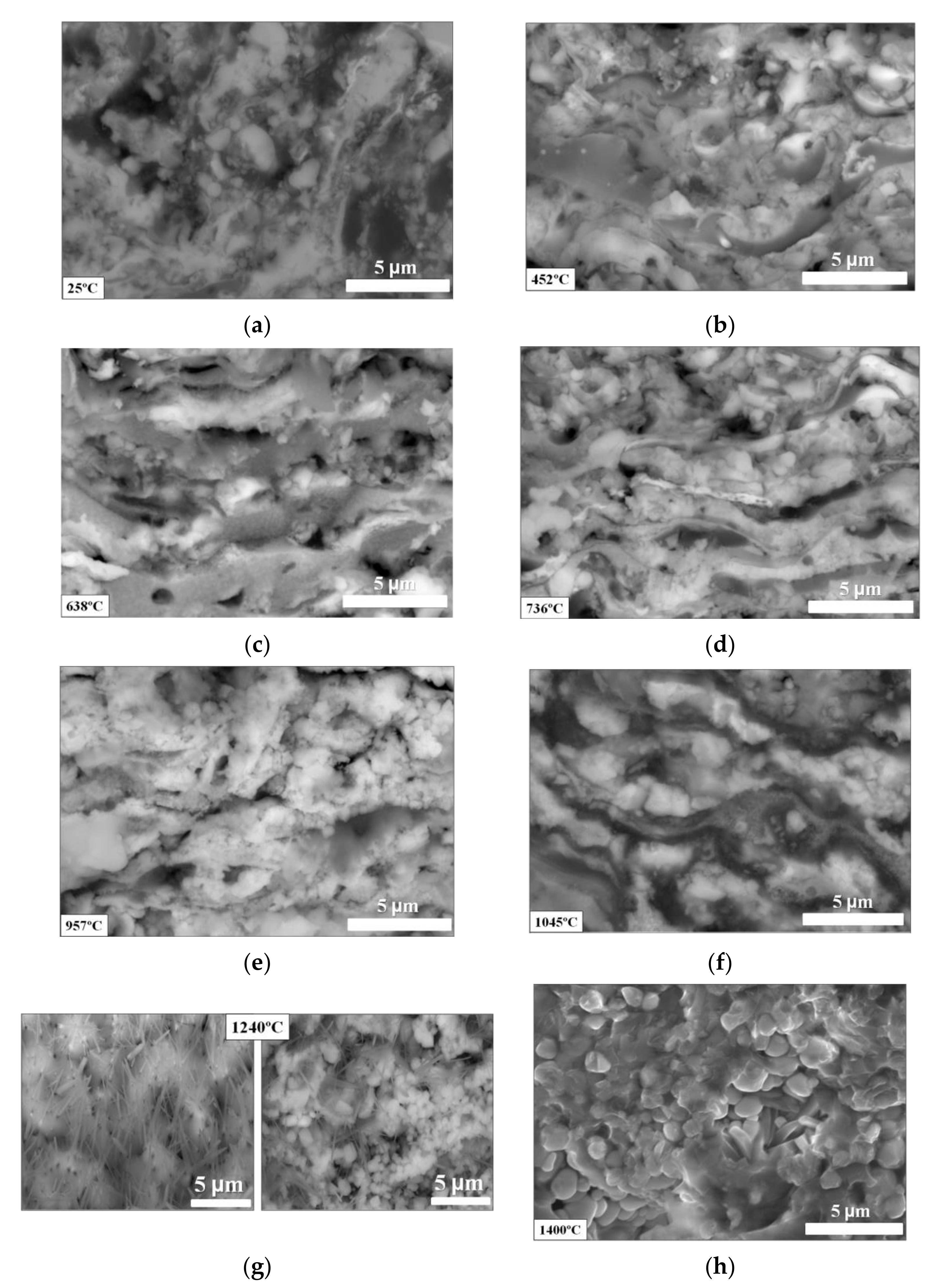 Coatings 11 01531 g006