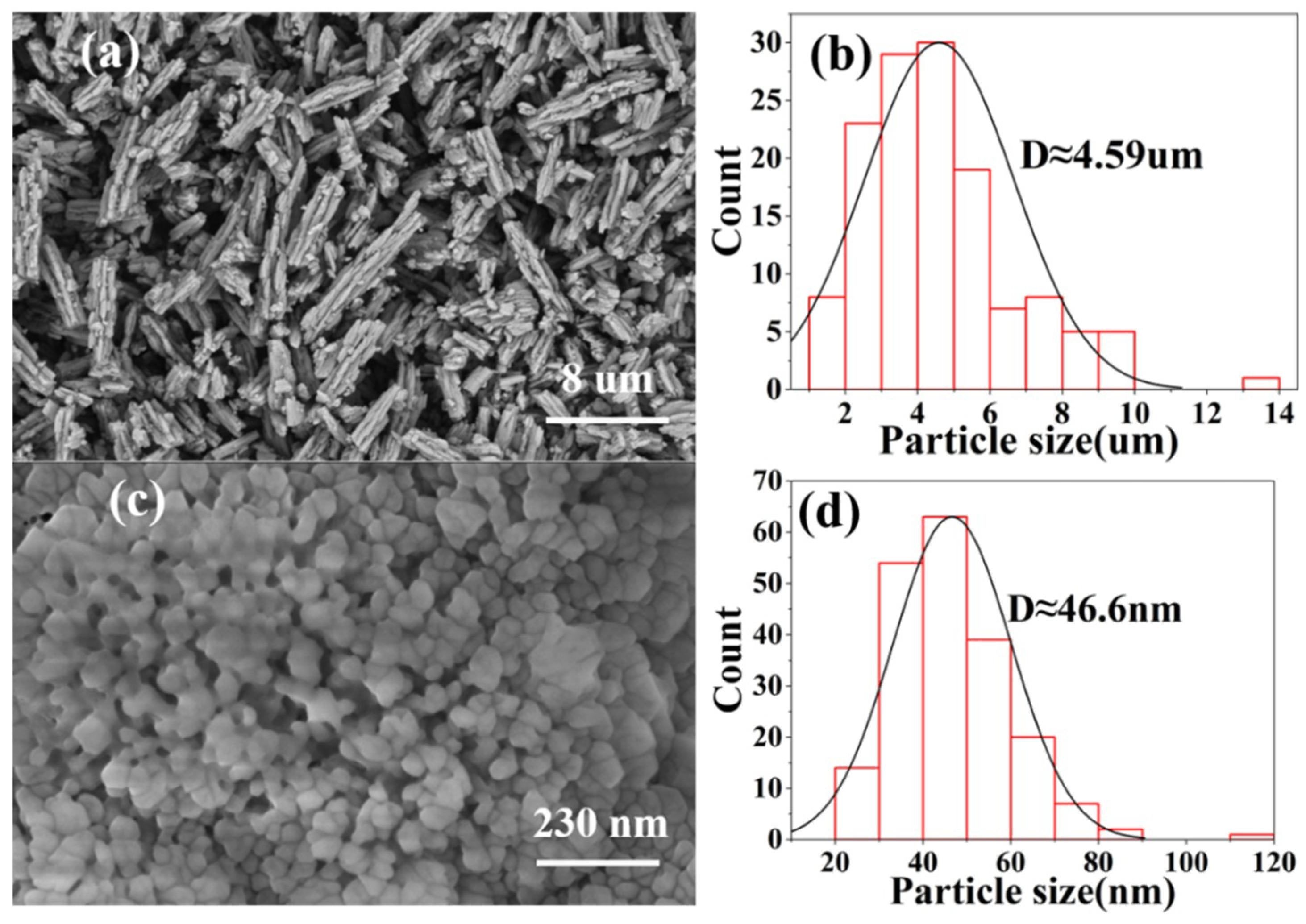 Coatings 11 01534 g006