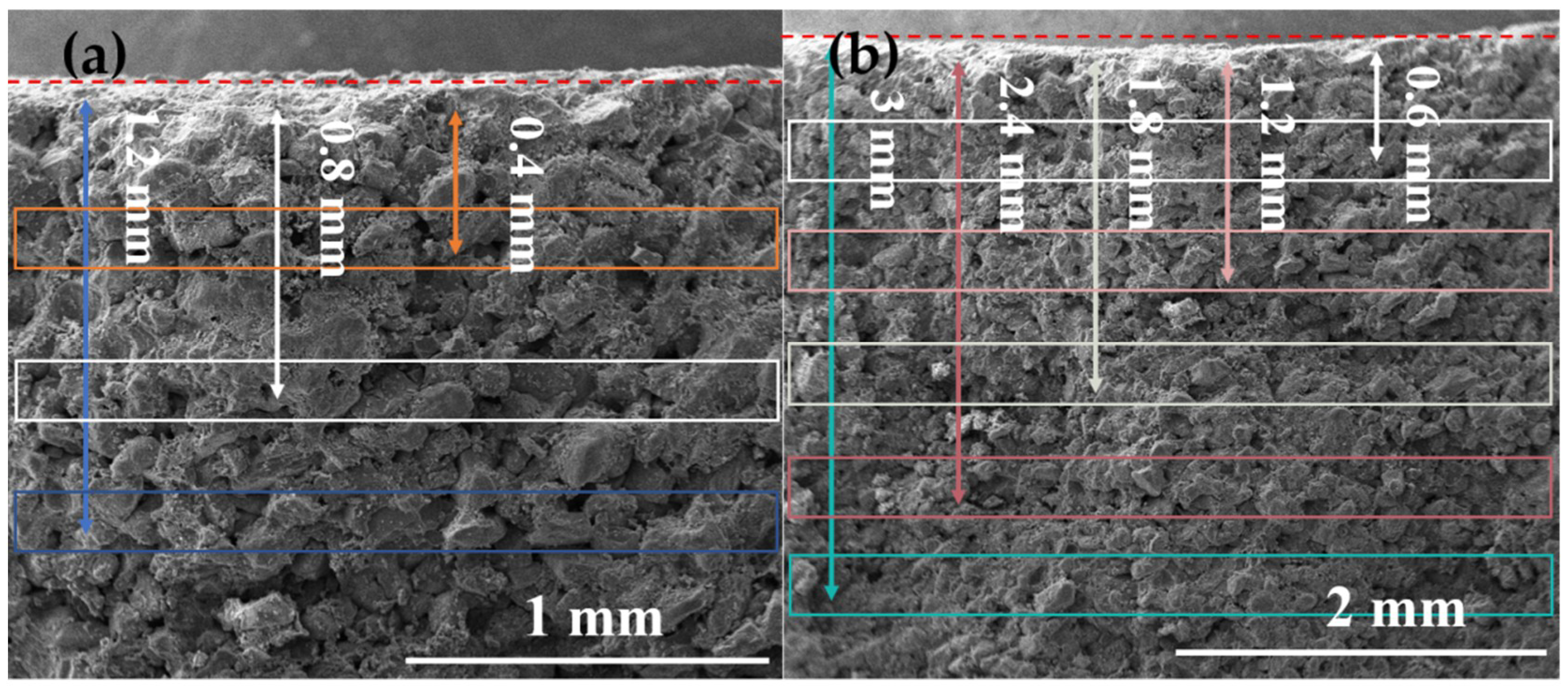 Coatings 11 01534 g009