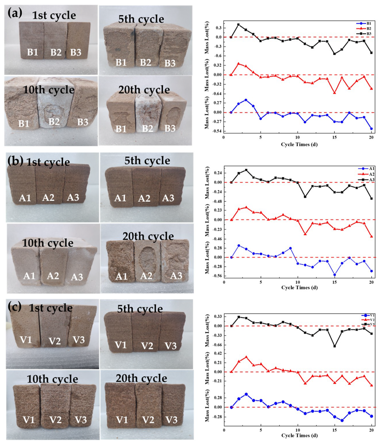 Coatings 11 01534 g016