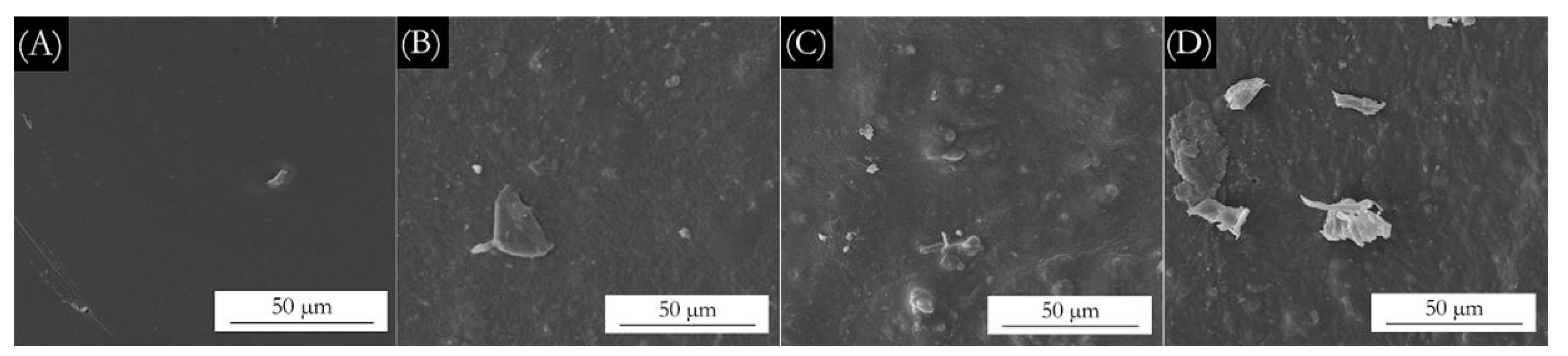 Coatings 11 01537 g008