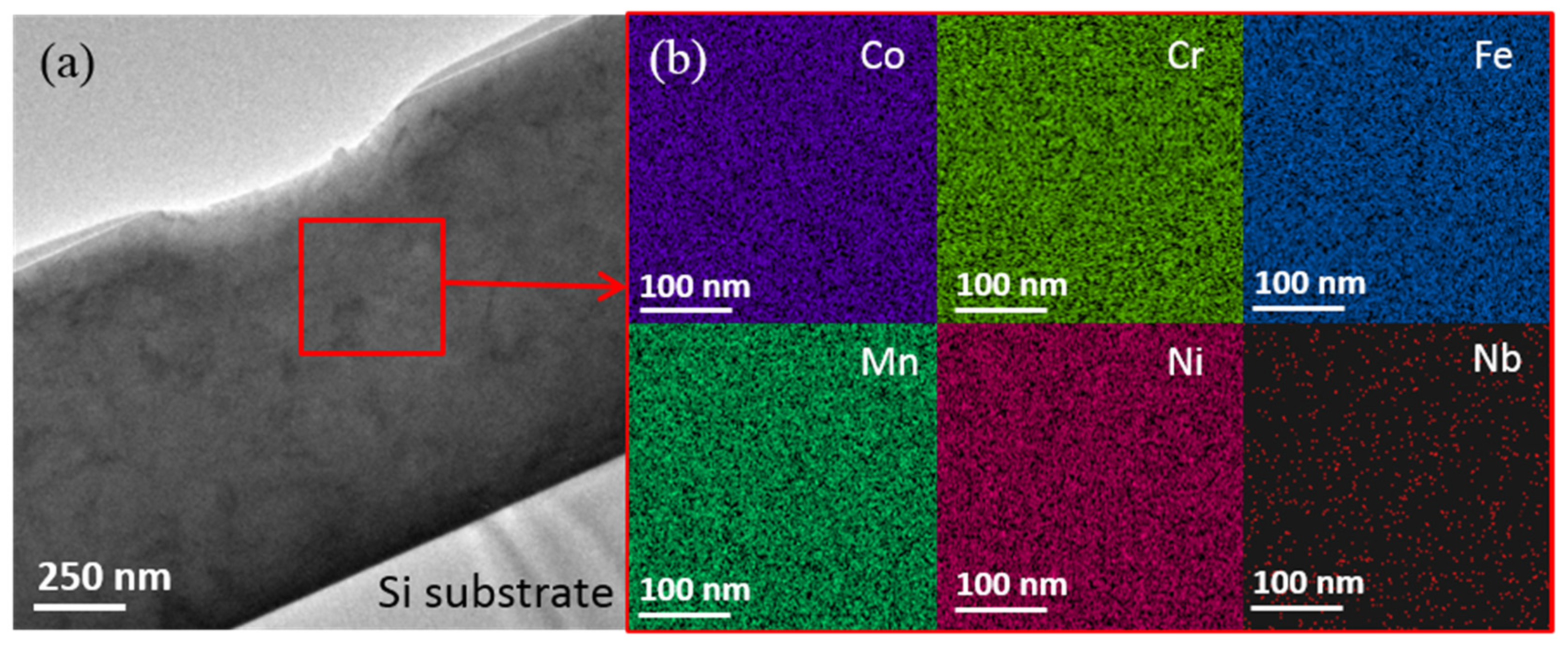 Coatings 11 01539 g005 550