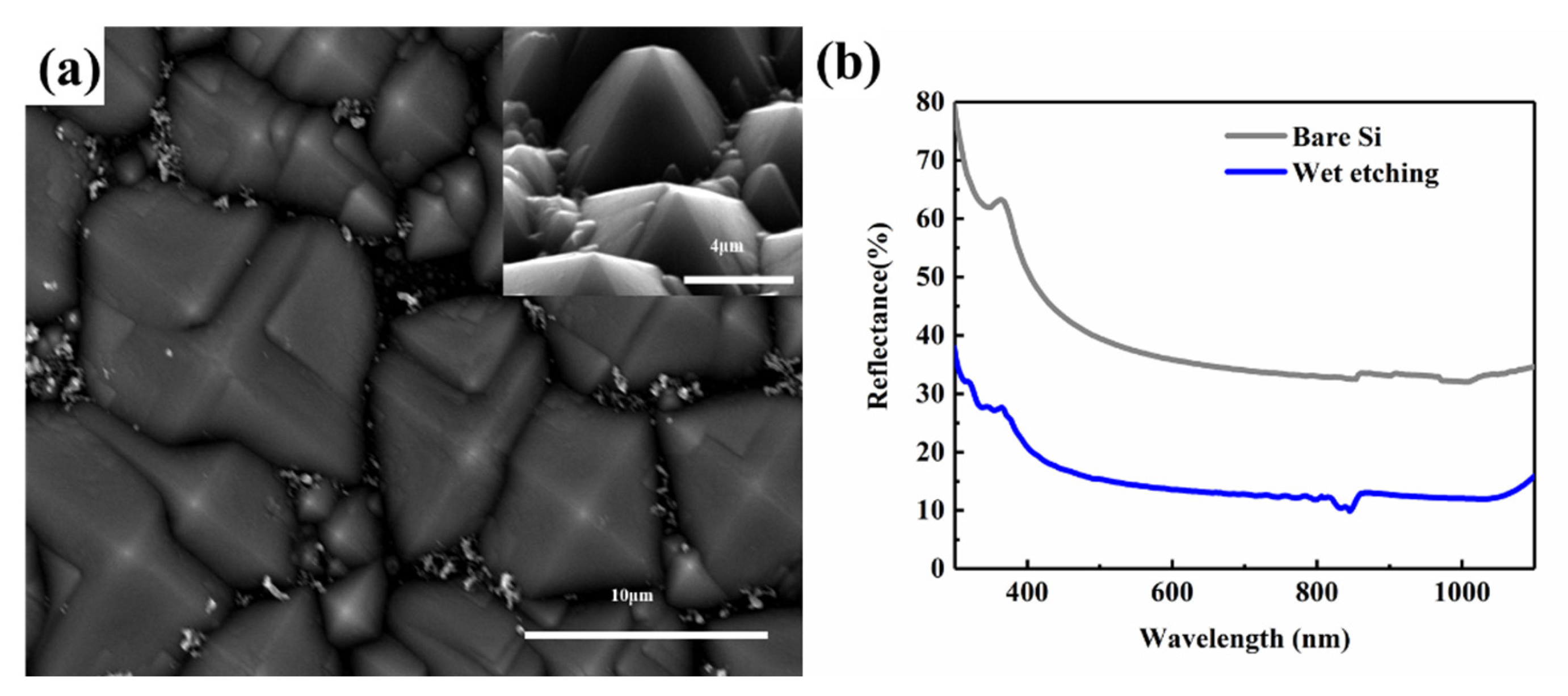 Coatings 11 01541 g002 Coatings 11 01541 g002