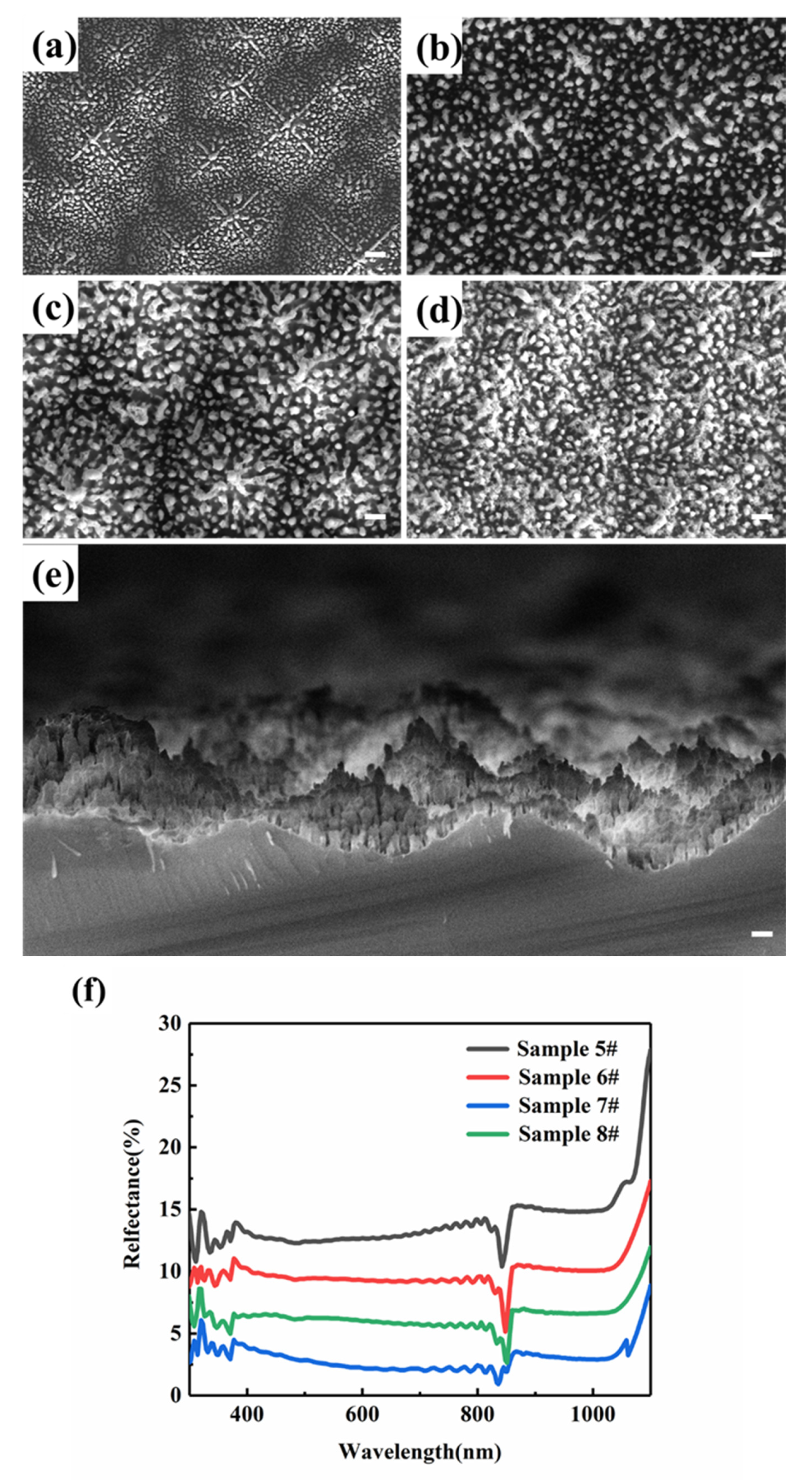 Coatings 11 01541 g004a Coatings 11 01541 g004a