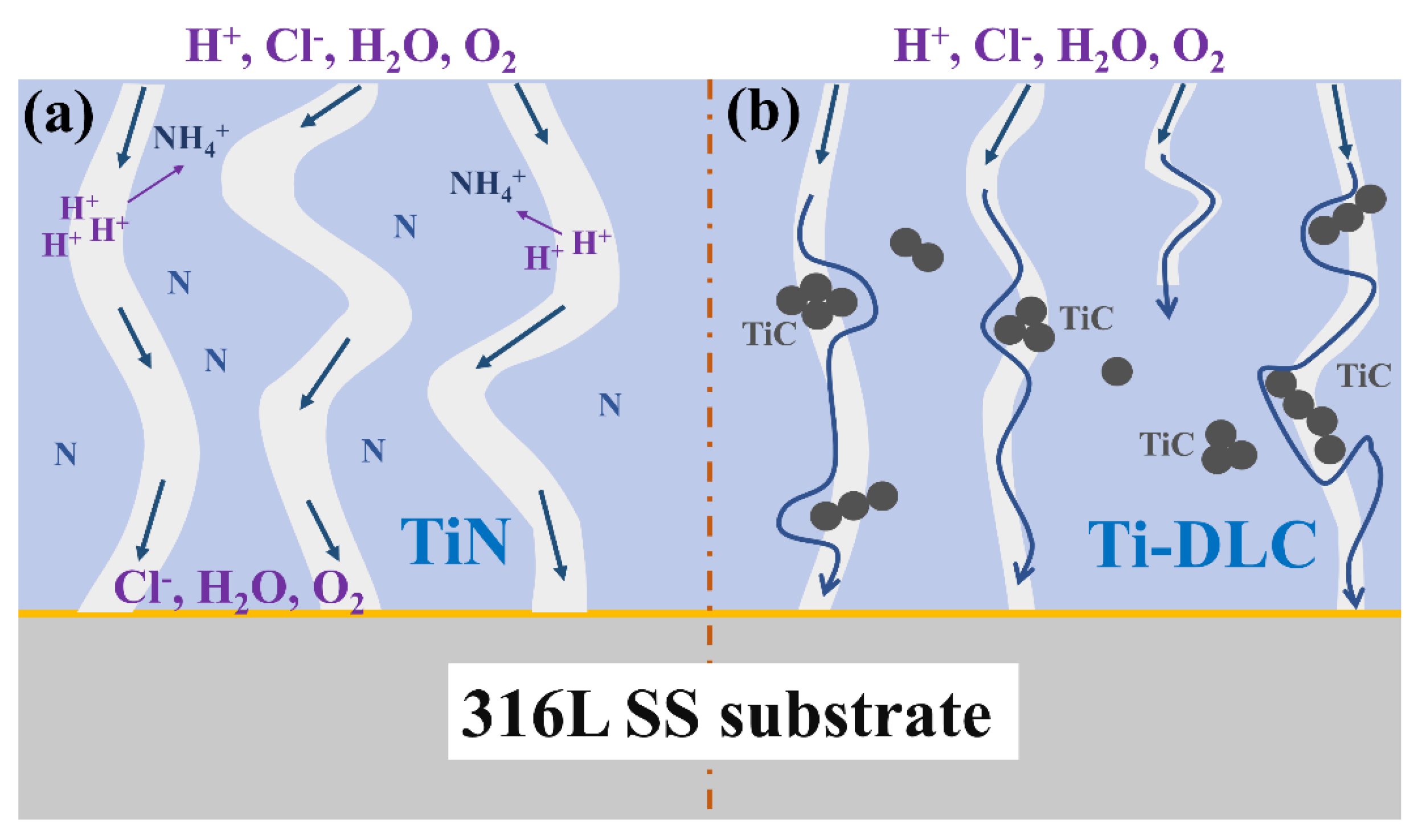 Coatings 11 01543 g007 550